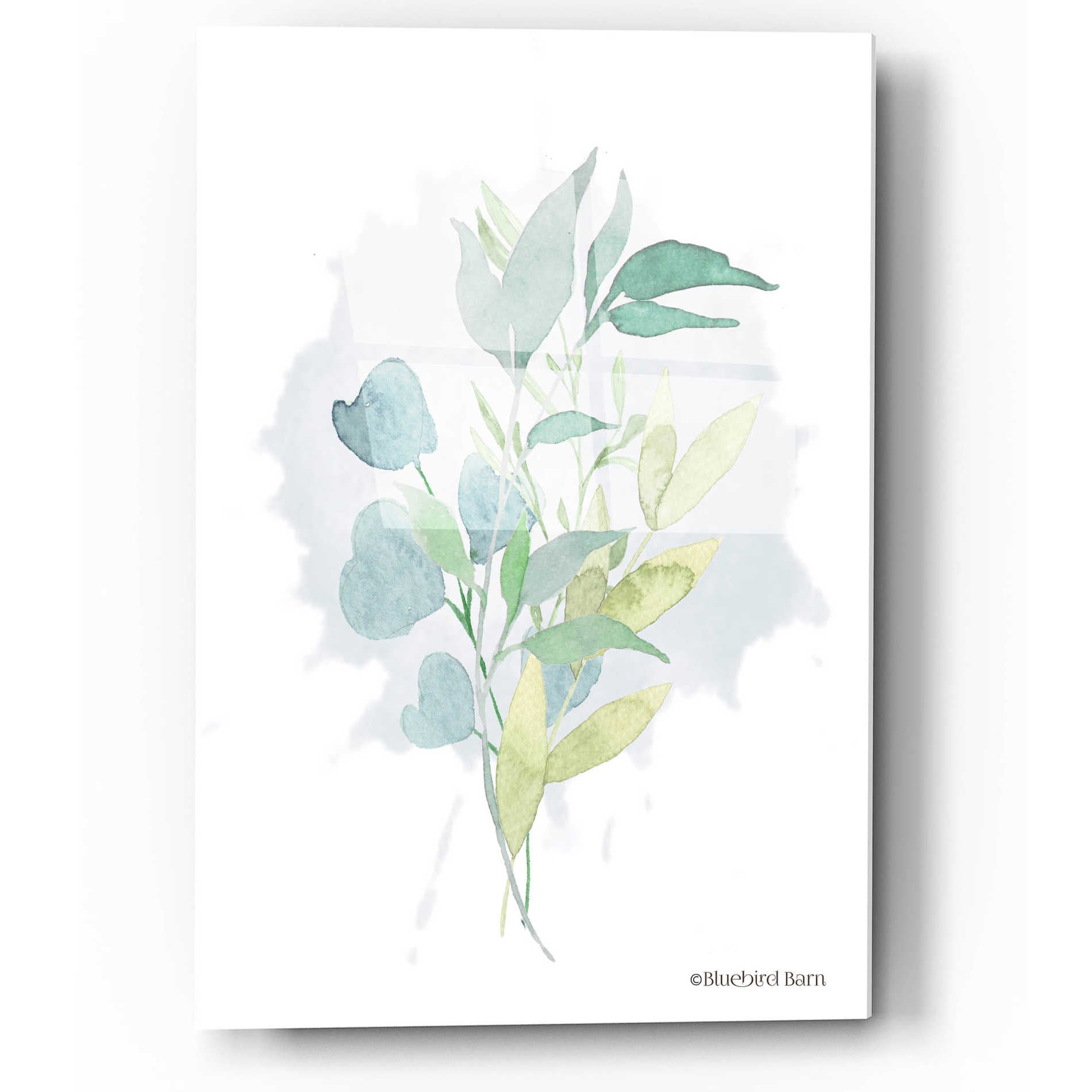 Epic Art 'Watercolor Greenery Series II' by Bluebird Barn, Acrylic Glass Wall Art