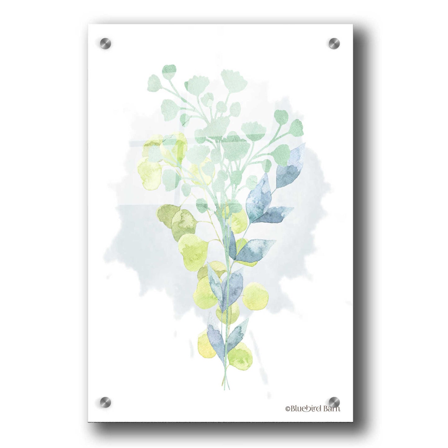 Epic Art 'Watercolor Greenery Series I' by Bluebird Barn, Acrylic Glass Wall Art,24x36