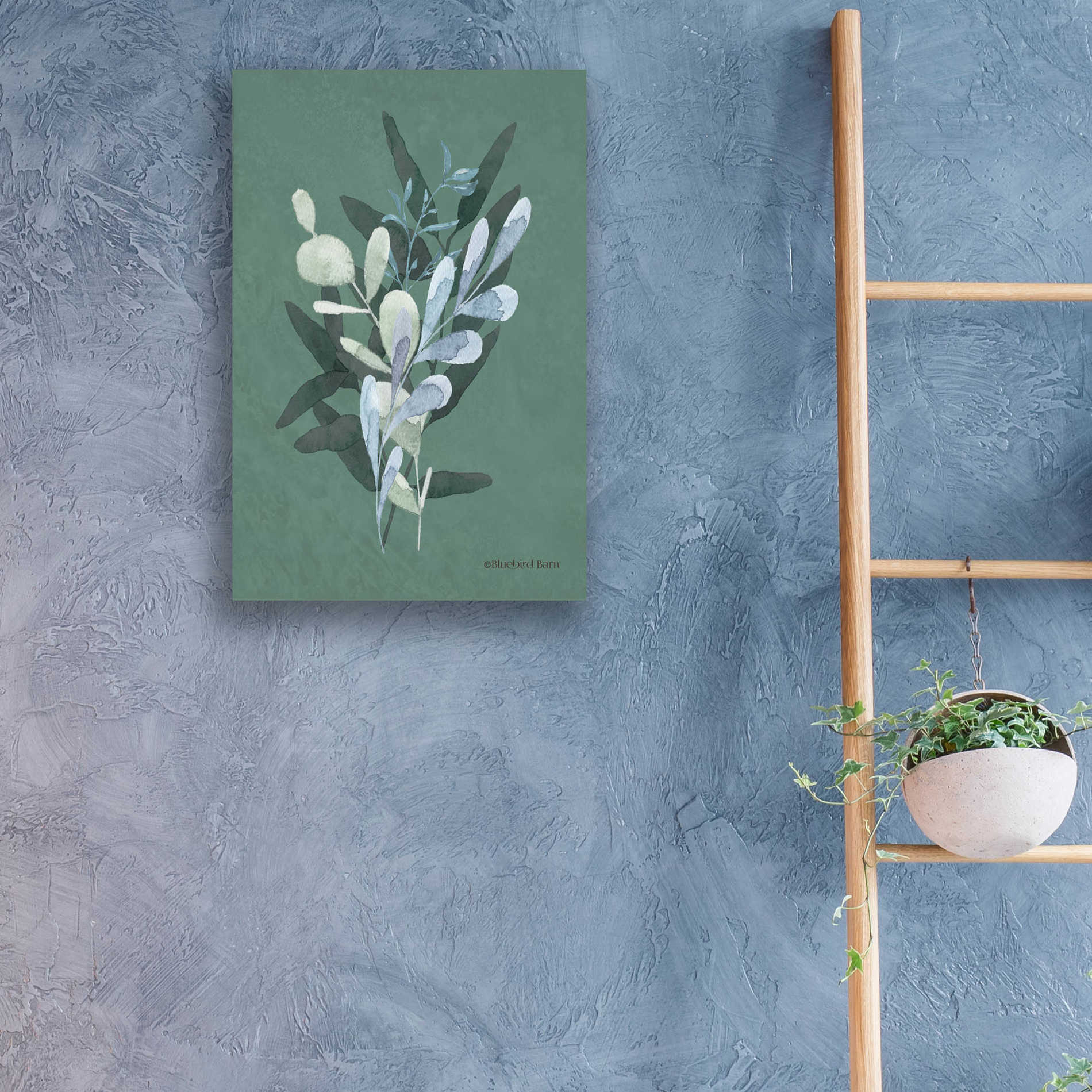 Epic Art 'Watercolor Greenery Series Dark II' by Bluebird Barn, Acrylic Glass Wall Art,16x24