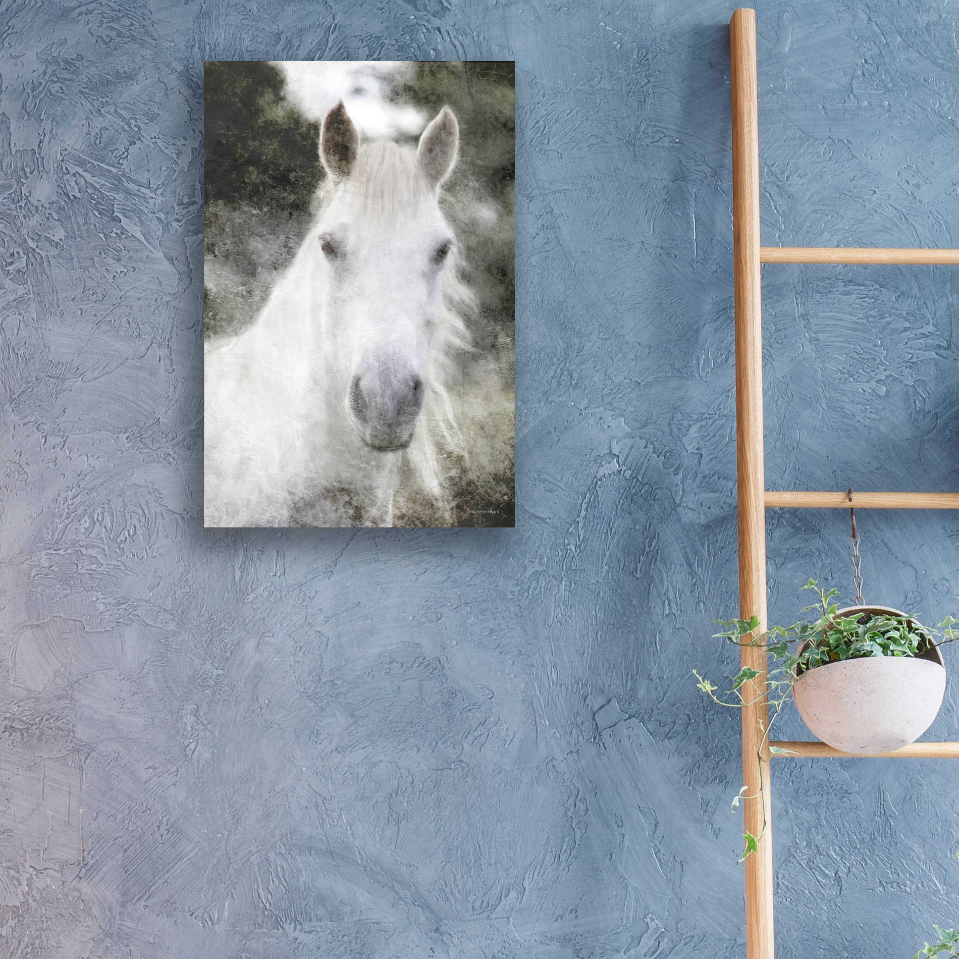 Epic Art 'White Horse Mystique' by Bluebird Barn, Acrylic Glass Wall Art,16x24