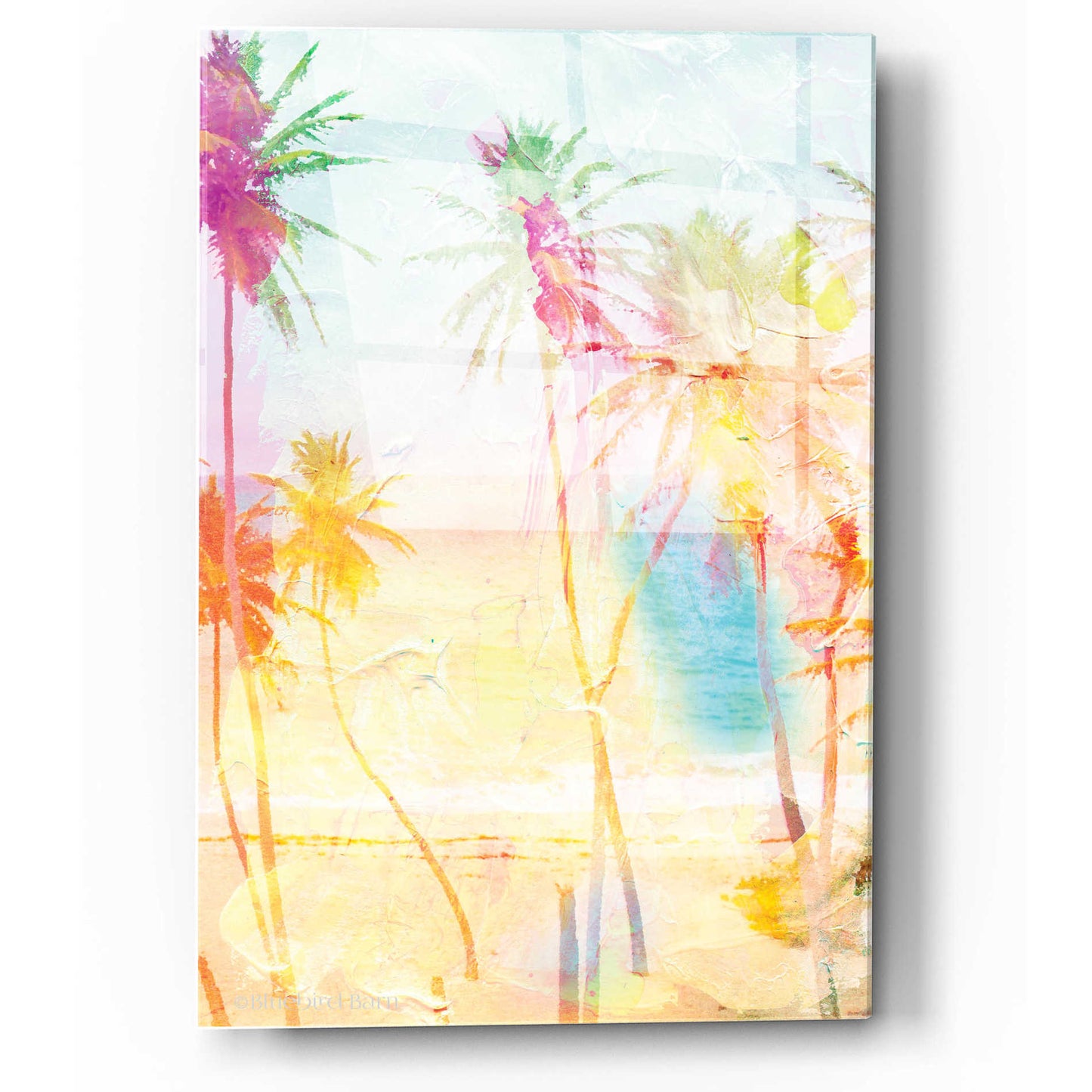 Epic Art 'Bright Summer Palms' by Bluebird Barn, Acrylic Glass Wall Art,12x16