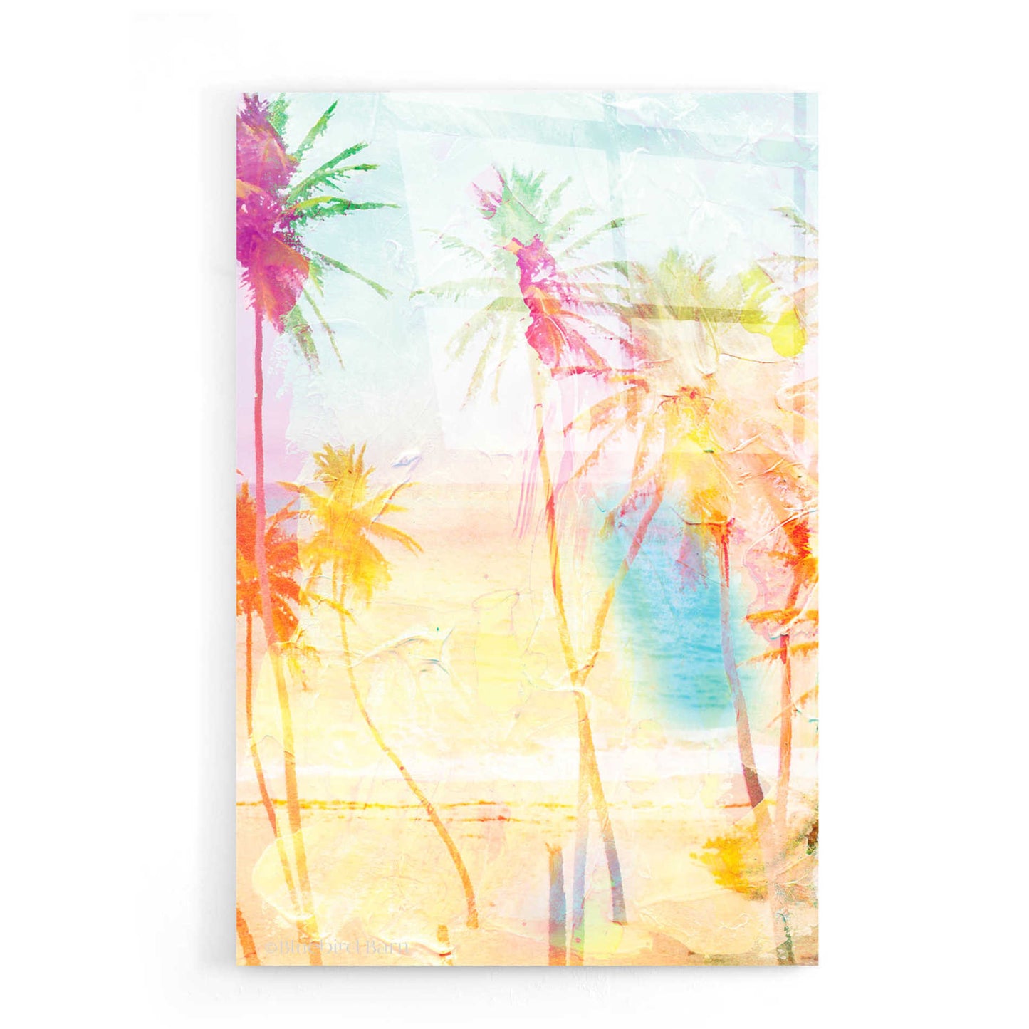 Epic Art 'Bright Summer Palms' by Bluebird Barn, Acrylic Glass Wall Art,16x24