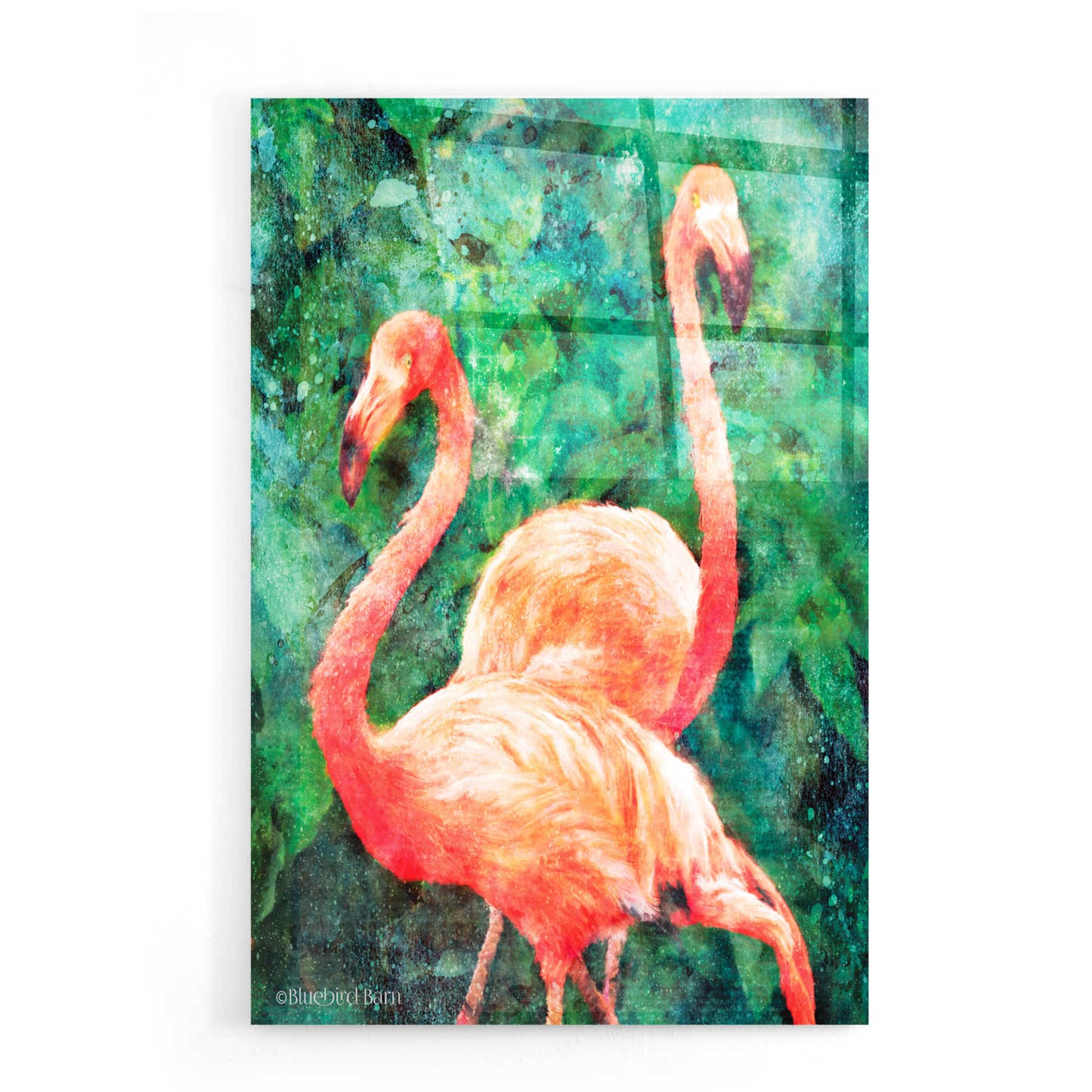 Epic Art 'Flamingos' by Bluebird Barn, Acrylic Glass Wall Art,16x24