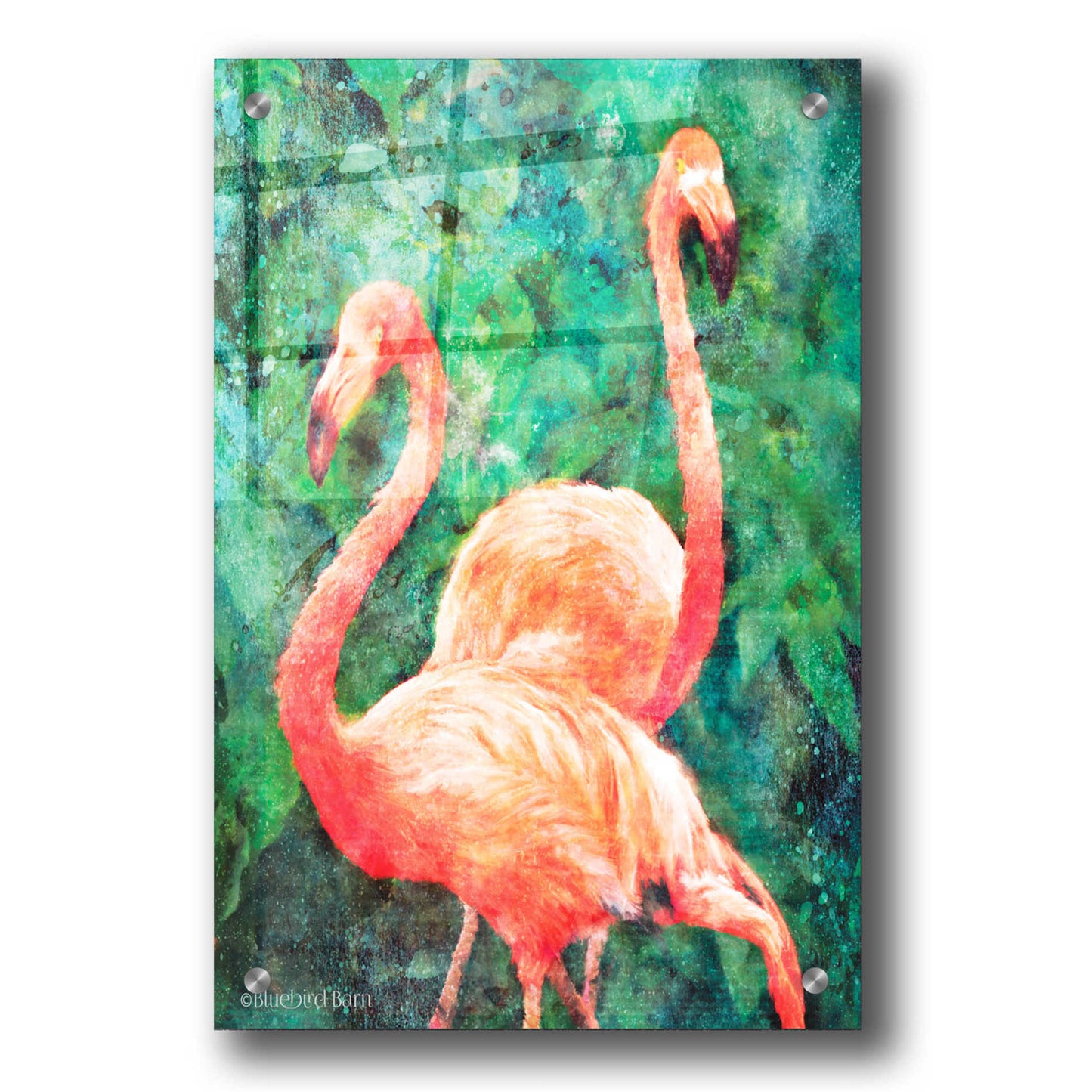 Epic Art 'Flamingos' by Bluebird Barn, Acrylic Glass Wall Art,24x36