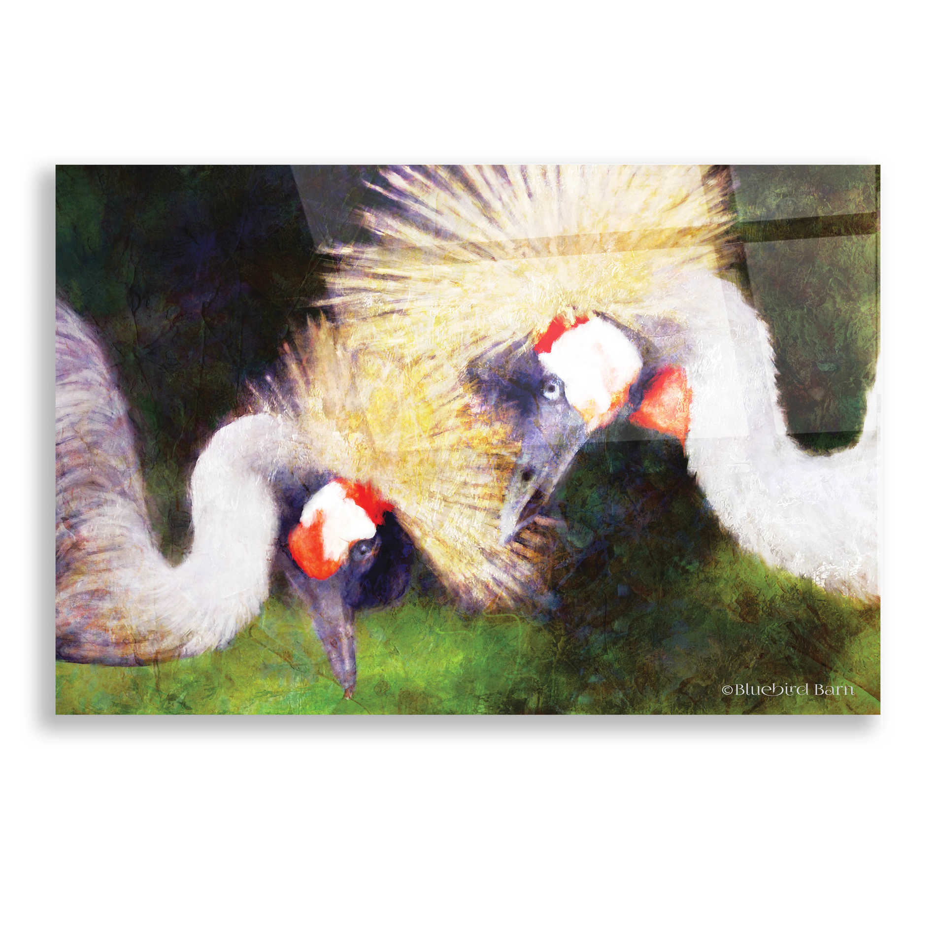 Epic Art 'Two Cranes' by Bluebird Barn, Acrylic Glass Wall Art,16x12