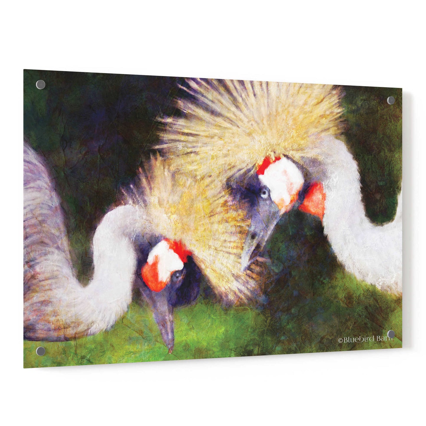 Epic Art 'Two Cranes' by Bluebird Barn, Acrylic Glass Wall Art,36x24