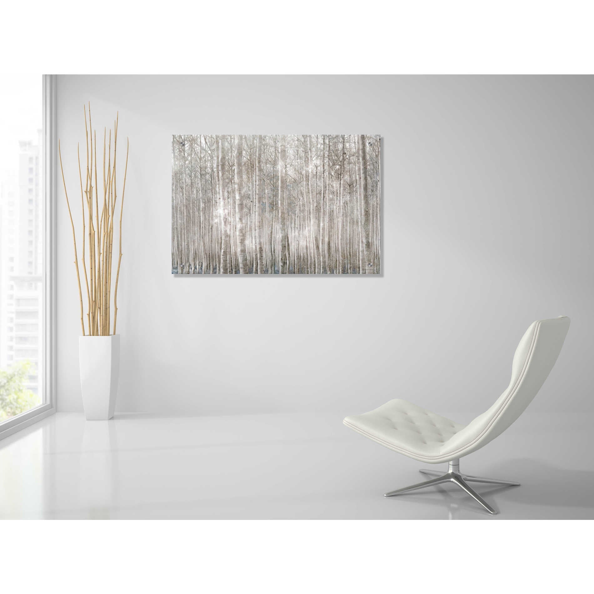 Epic Art 'Birch Trees' by Bluebird Barn, Acrylic Glass Wall Art,36x24