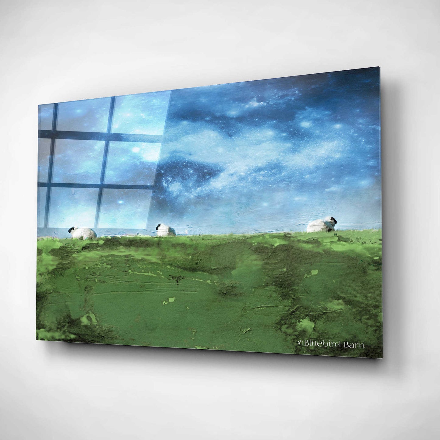 Epic Art 'Distant Hillside Sheep by Night' by Bluebird Barn, Acrylic Glass Wall Art,16x12