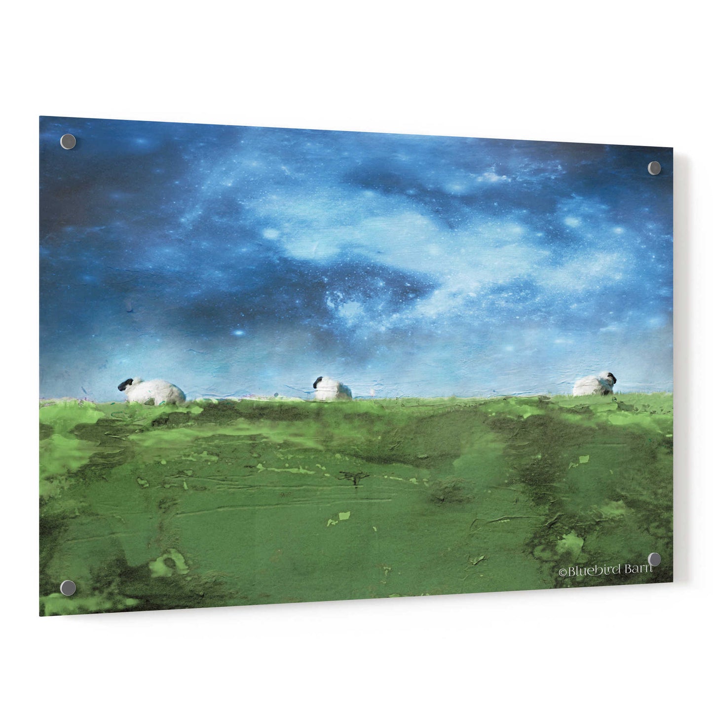 Epic Art 'Distant Hillside Sheep by Night' by Bluebird Barn, Acrylic Glass Wall Art,36x24