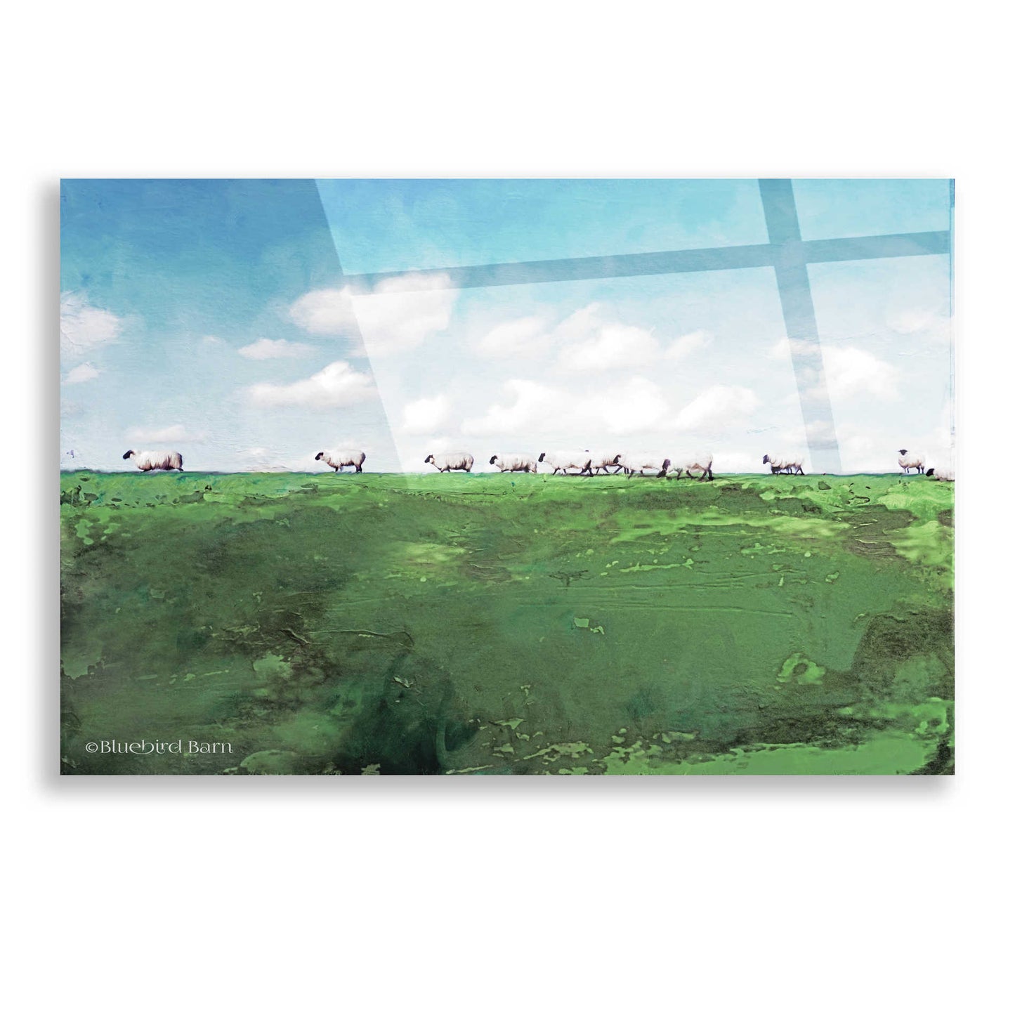 Epic Art 'Distant Hillside Sheep by Day' by Bluebird Barn, Acrylic Glass Wall Art,16x12