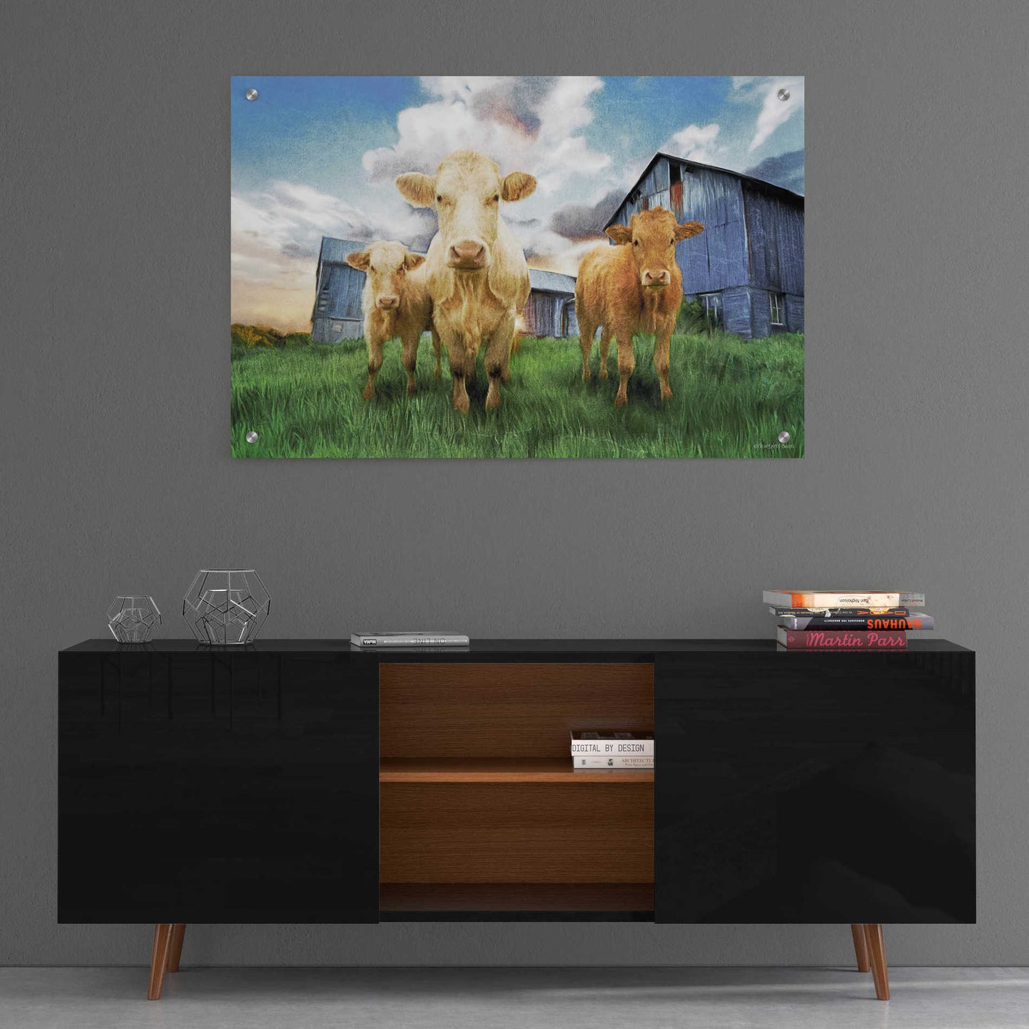 Epic Art 'Three Curious Calves' by Bluebird Barn, Acrylic Glass Wall Art,36x24