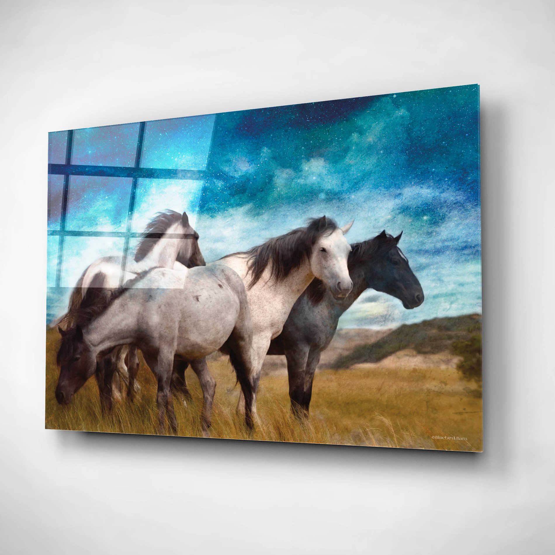 Epic Art 'Starry Night Horse Herd' by Bluebird Barn, Acrylic Glass Wall Art,16x12