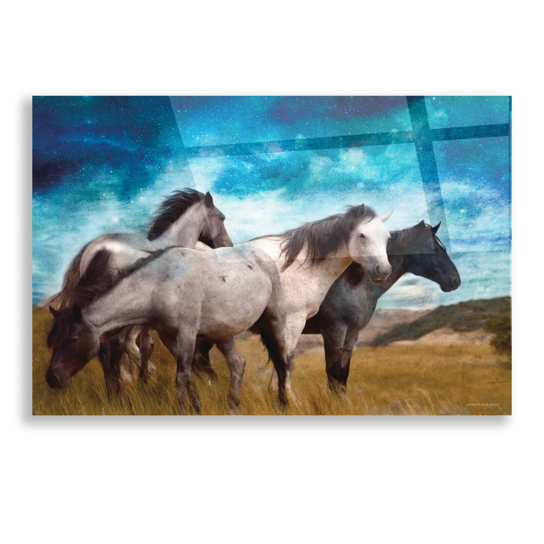 Epic Art 'Starry Night Horse Herd' by Bluebird Barn, Acrylic Glass Wall Art,16x12