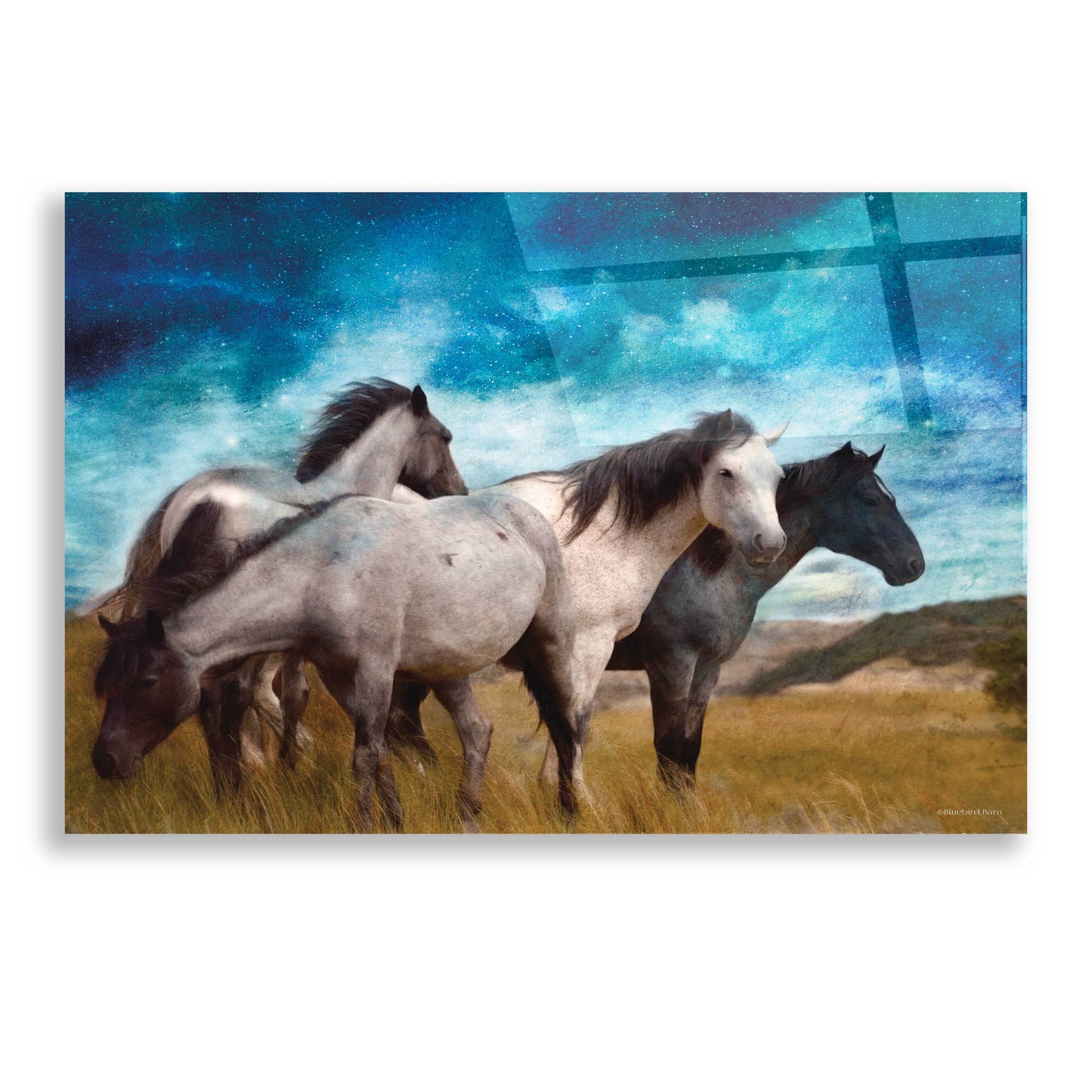 Epic Art 'Starry Night Horse Herd' by Bluebird Barn, Acrylic Glass Wall Art,24x16