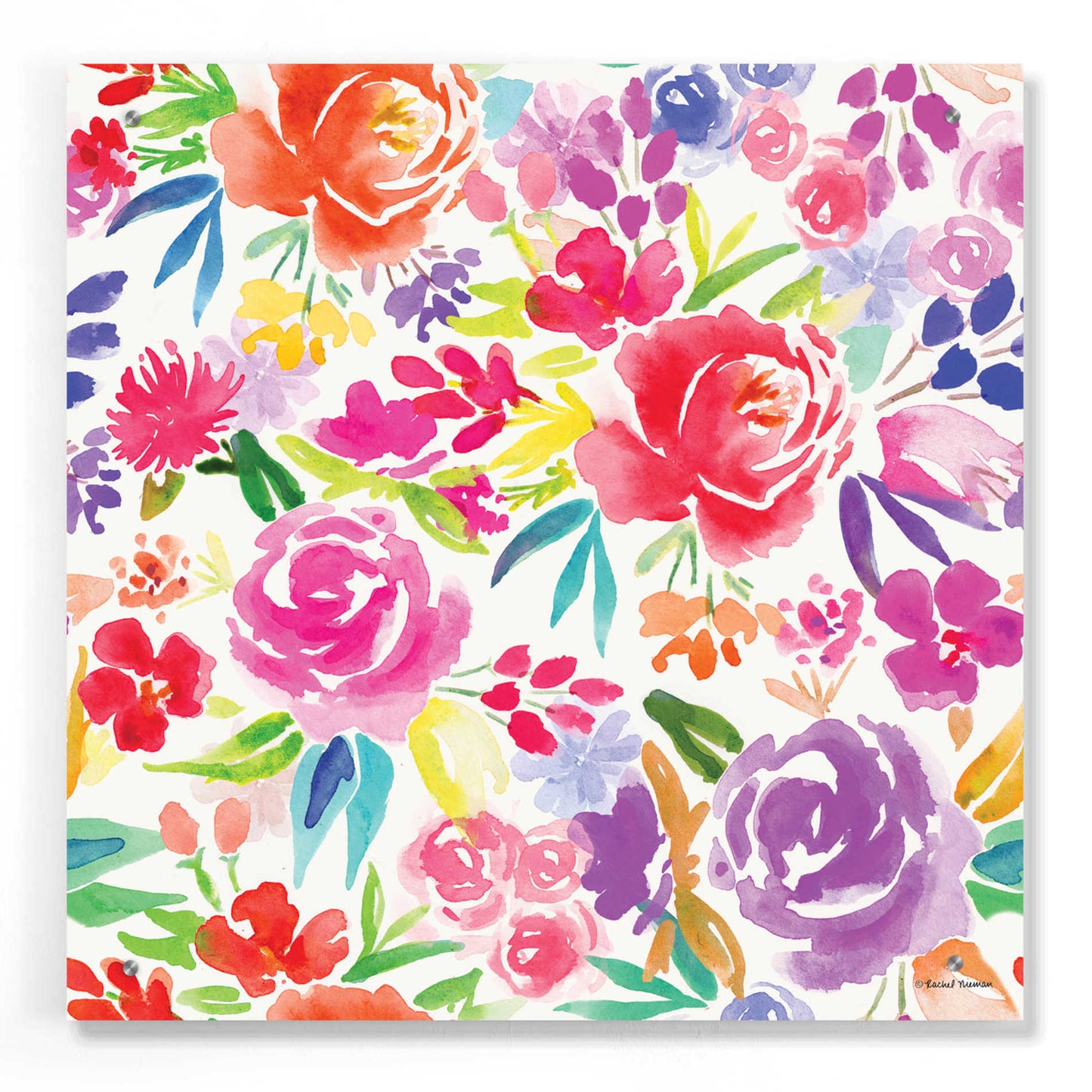 Epic Art 'Vibrant Floral Pattern' by Rachel Nieman, Acrylic Glass Wall Art,24x24