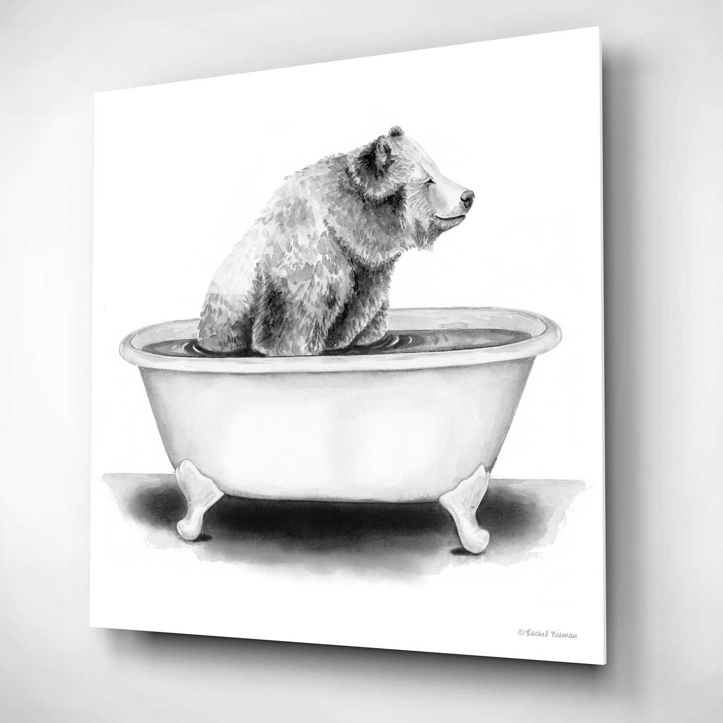 Epic Art 'Bear in Tub' by Rachel Nieman, Acrylic Glass Wall Art,12x12