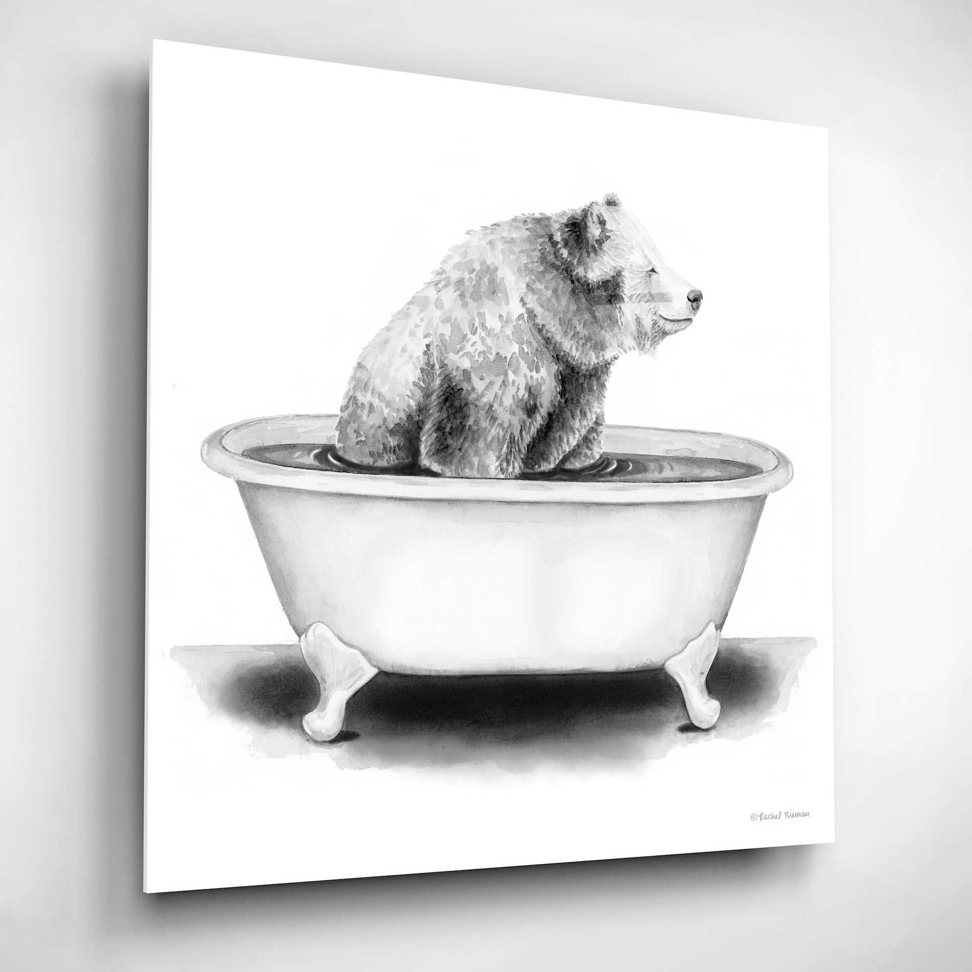 Epic Art 'Bear in Tub' by Rachel Nieman, Acrylic Glass Wall Art,12x12