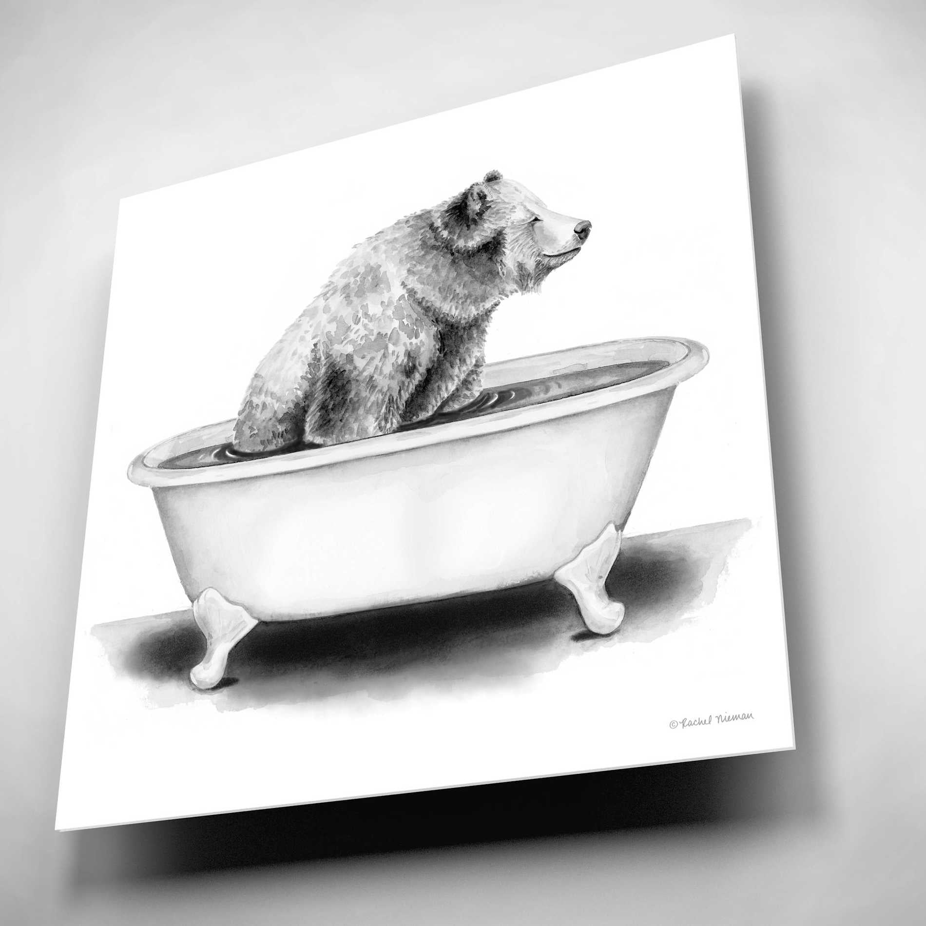 Epic Art 'Bear in Tub' by Rachel Nieman, Acrylic Glass Wall Art,12x12