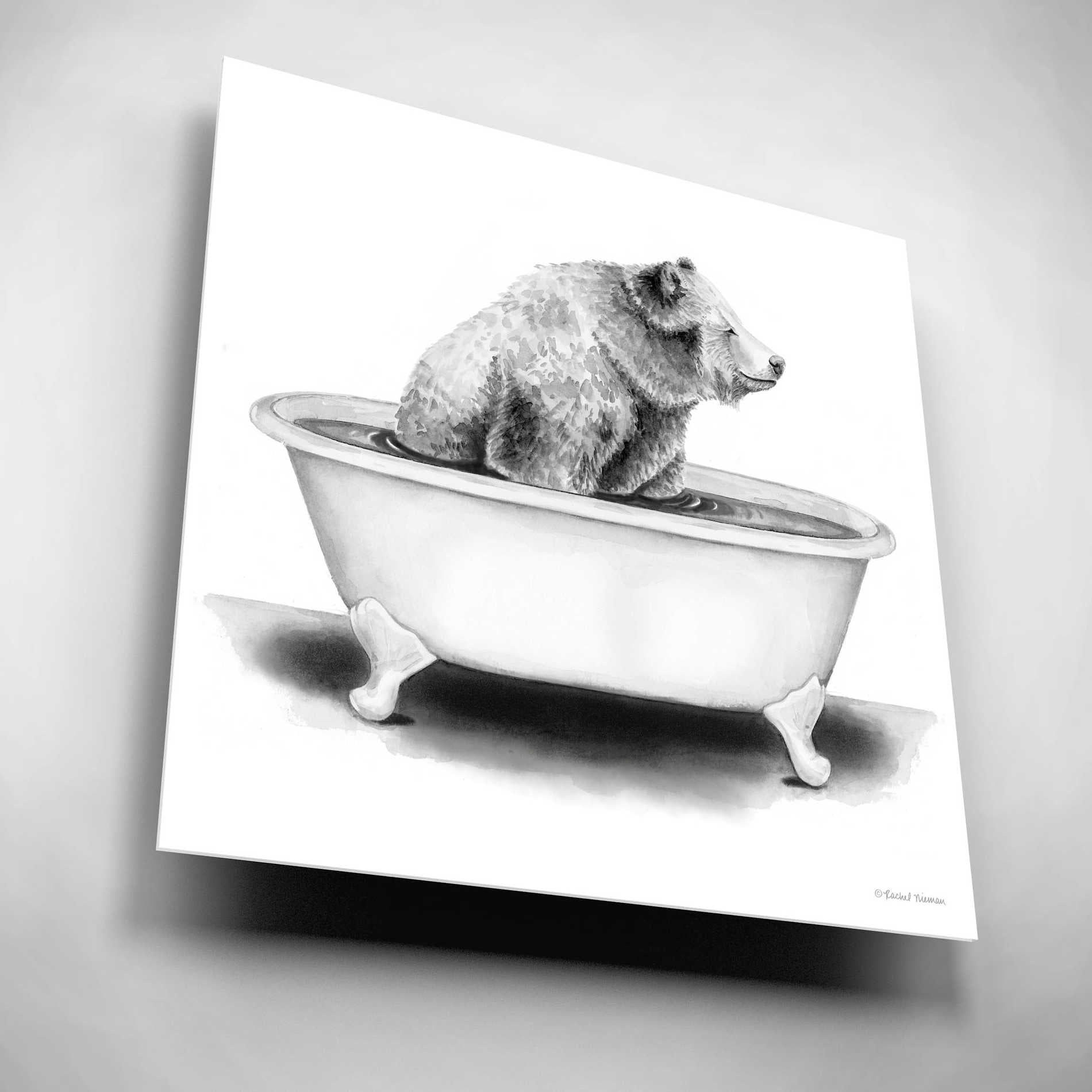 Epic Art 'Bear in Tub' by Rachel Nieman, Acrylic Glass Wall Art,12x12