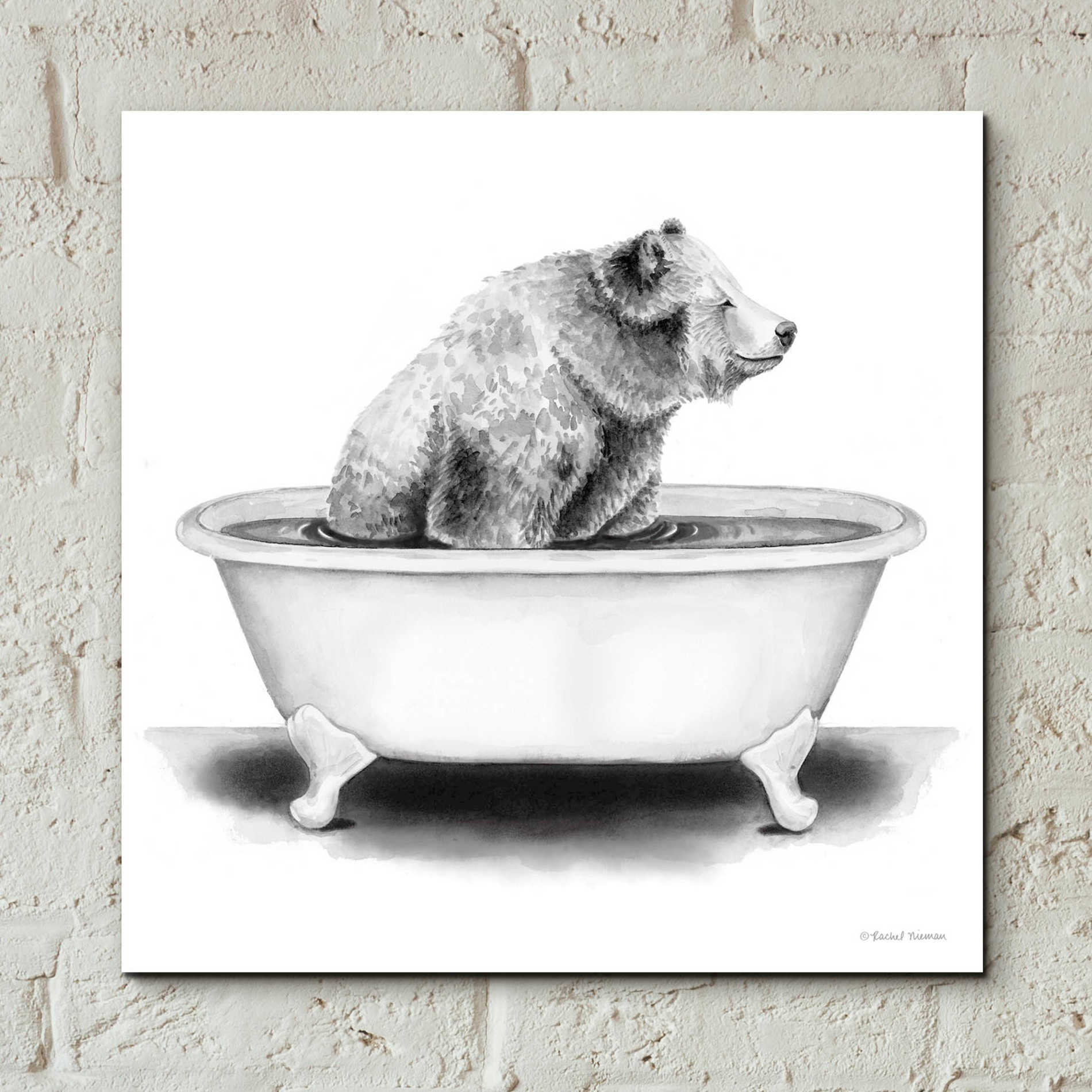 Epic Art 'Bear in Tub' by Rachel Nieman, Acrylic Glass Wall Art,12x12