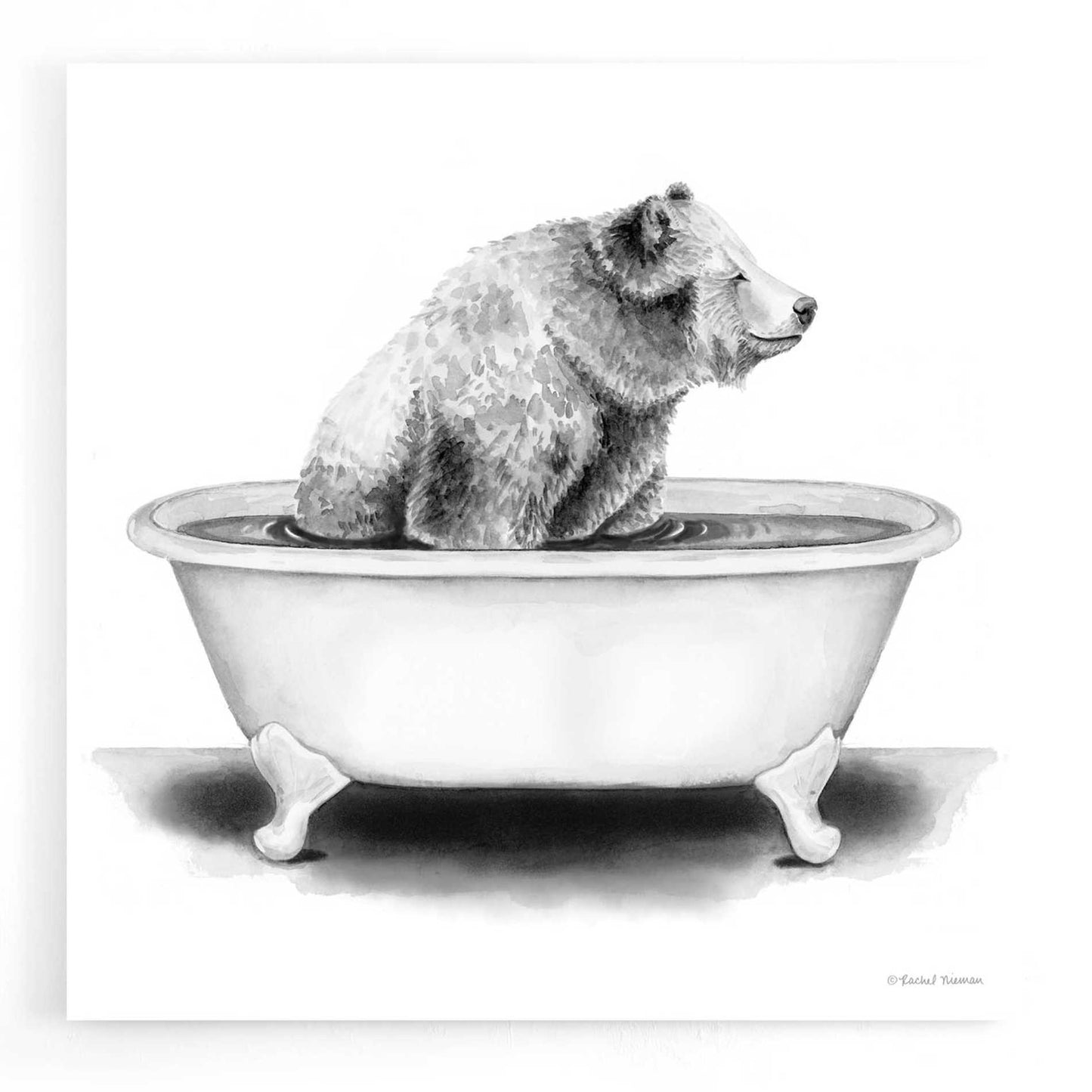 Epic Art 'Bear in Tub' by Rachel Nieman, Acrylic Glass Wall Art,12x12