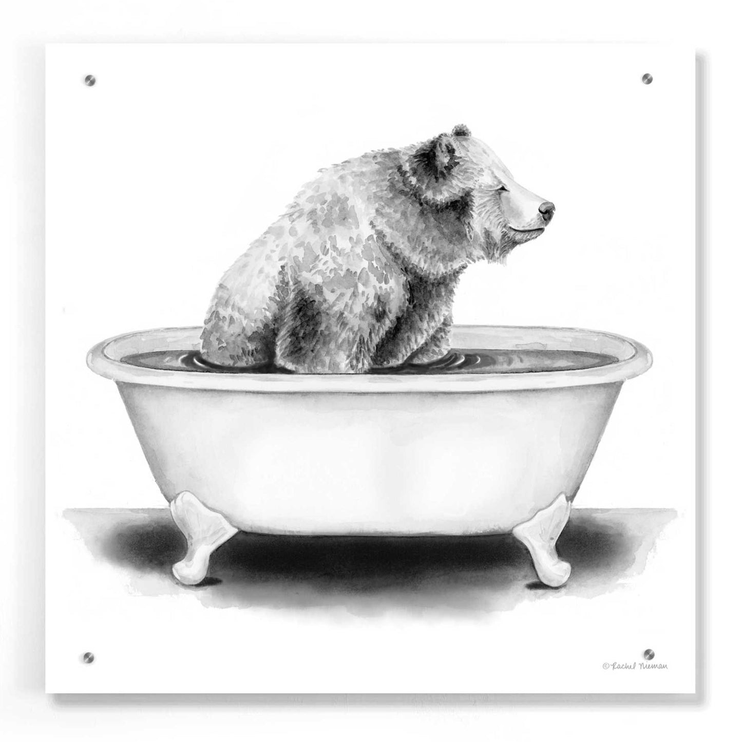 Epic Art 'Bear in Tub' by Rachel Nieman, Acrylic Glass Wall Art,24x24