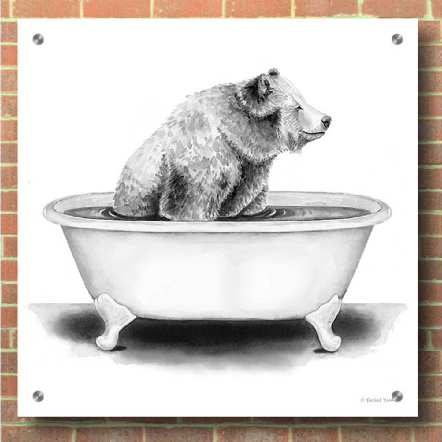 Epic Art 'Bear in Tub' by Rachel Nieman, Acrylic Glass Wall Art,36x36