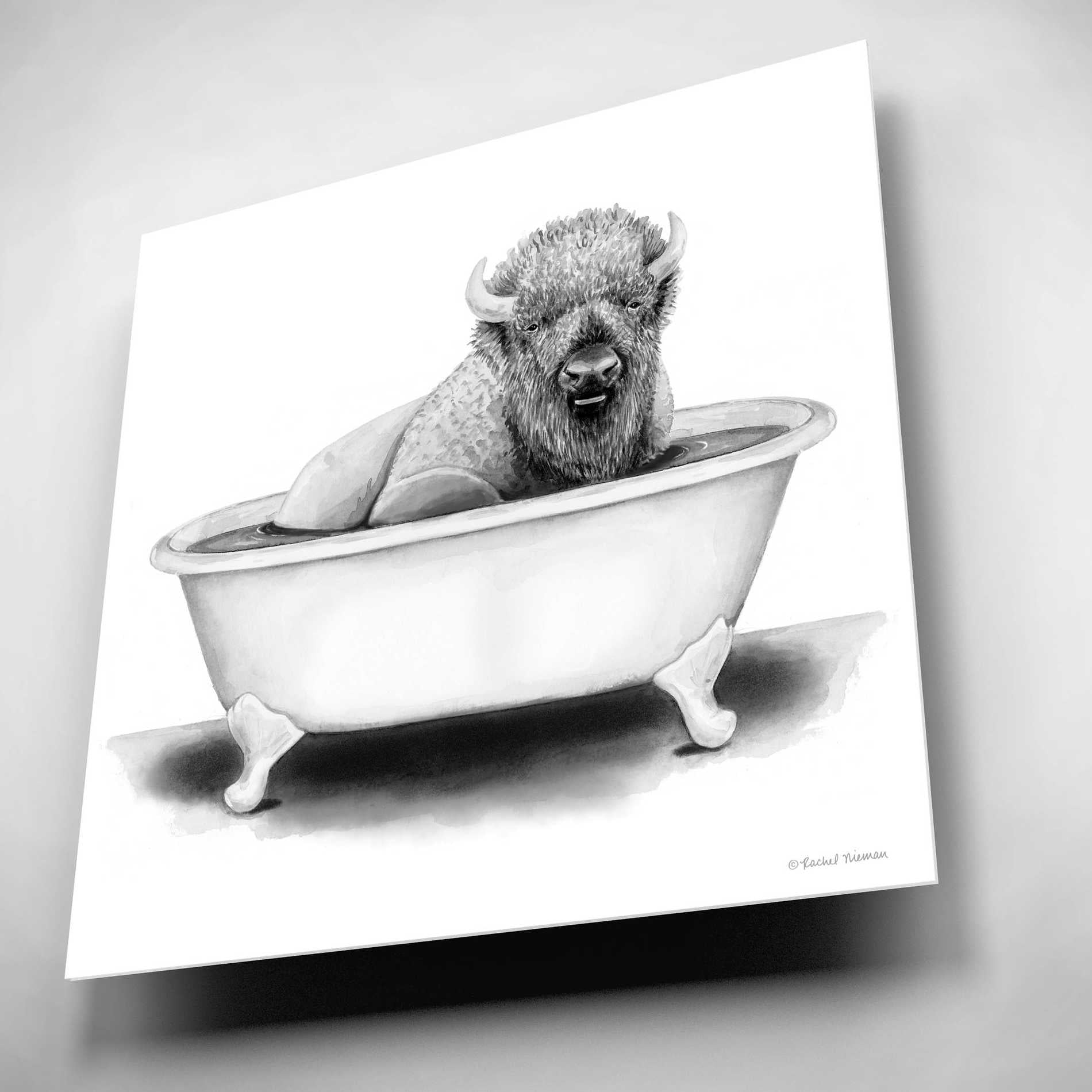 Epic Art 'Bison in Tub' by Rachel Nieman, Acrylic Glass Wall Art,12x12