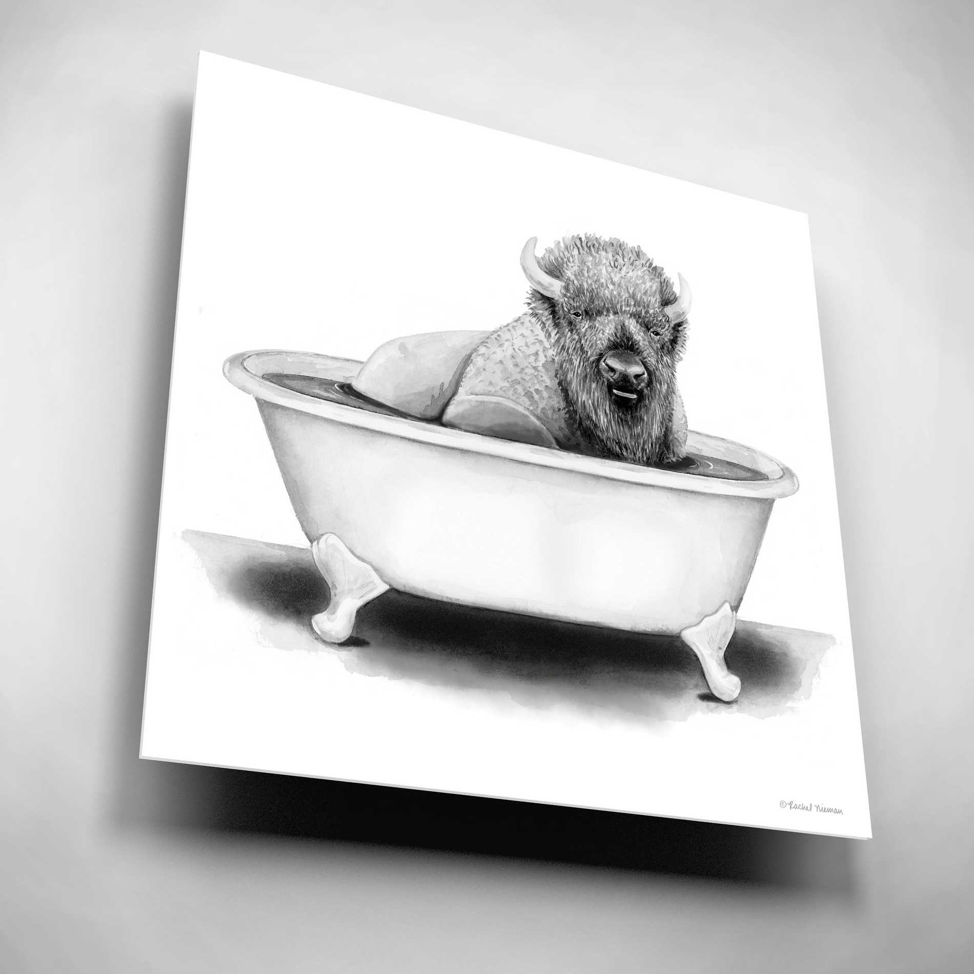 Epic Art 'Bison in Tub' by Rachel Nieman, Acrylic Glass Wall Art,12x12