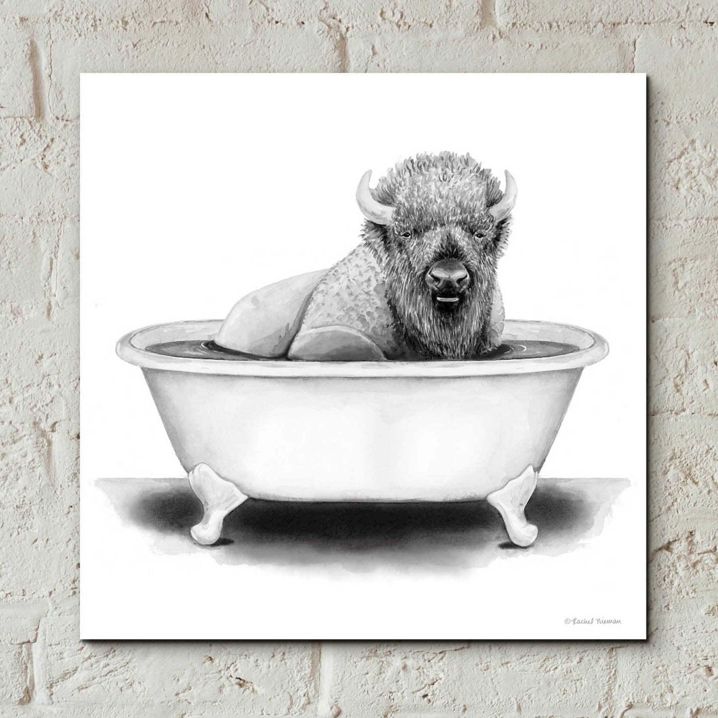 Epic Art 'Bison in Tub' by Rachel Nieman, Acrylic Glass Wall Art,12x12