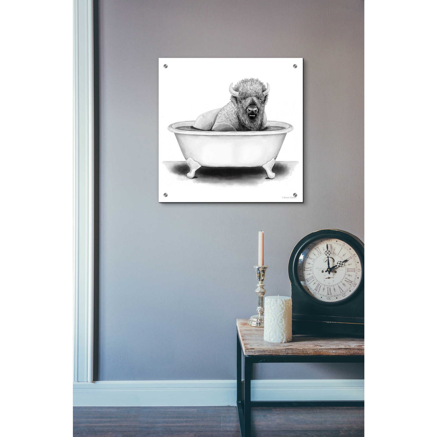 Epic Art 'Bison in Tub' by Rachel Nieman, Acrylic Glass Wall Art,24x24