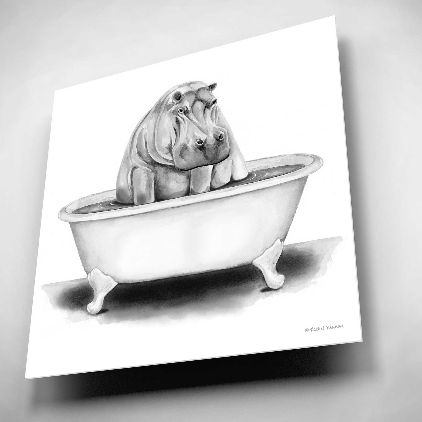 Epic Art 'Hippo in Tub' by Rachel Nieman, Acrylic Glass Wall Art,12x12