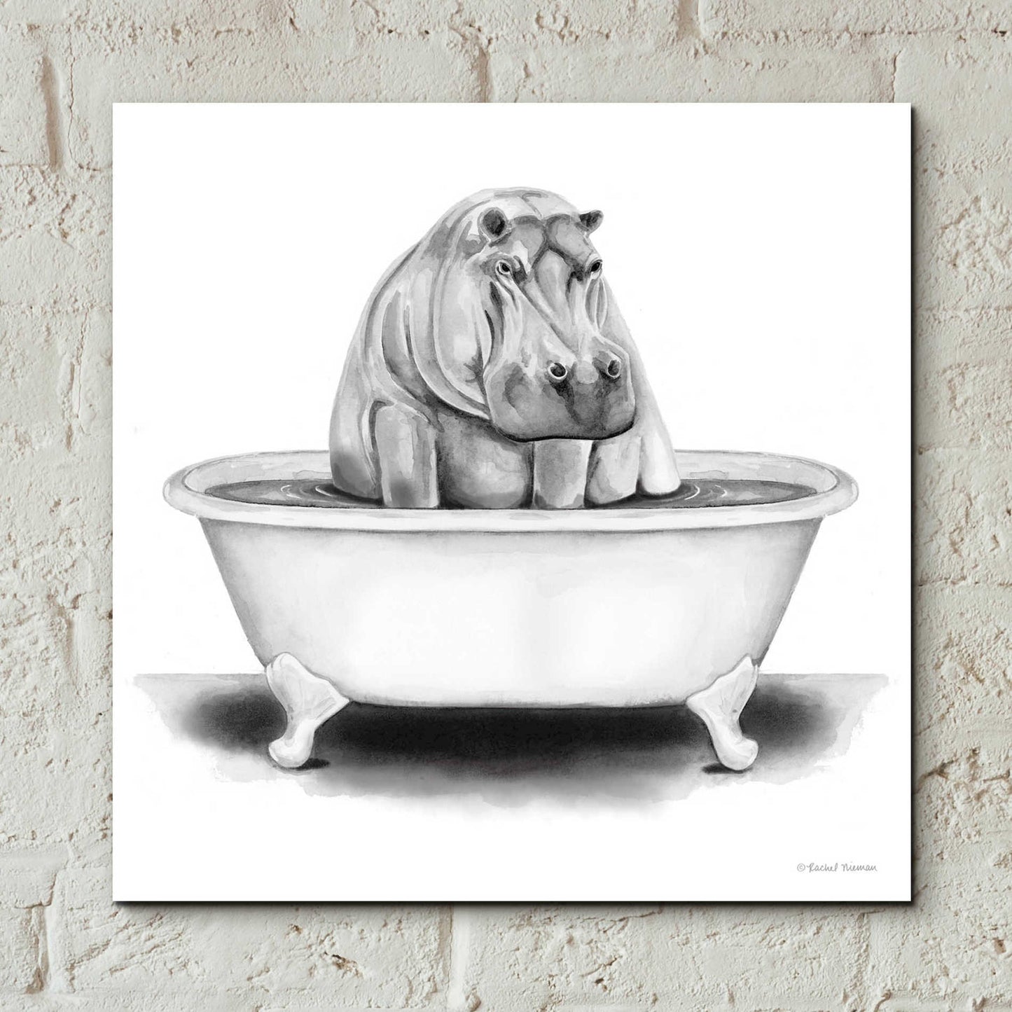 Epic Art 'Hippo in Tub' by Rachel Nieman, Acrylic Glass Wall Art,12x12