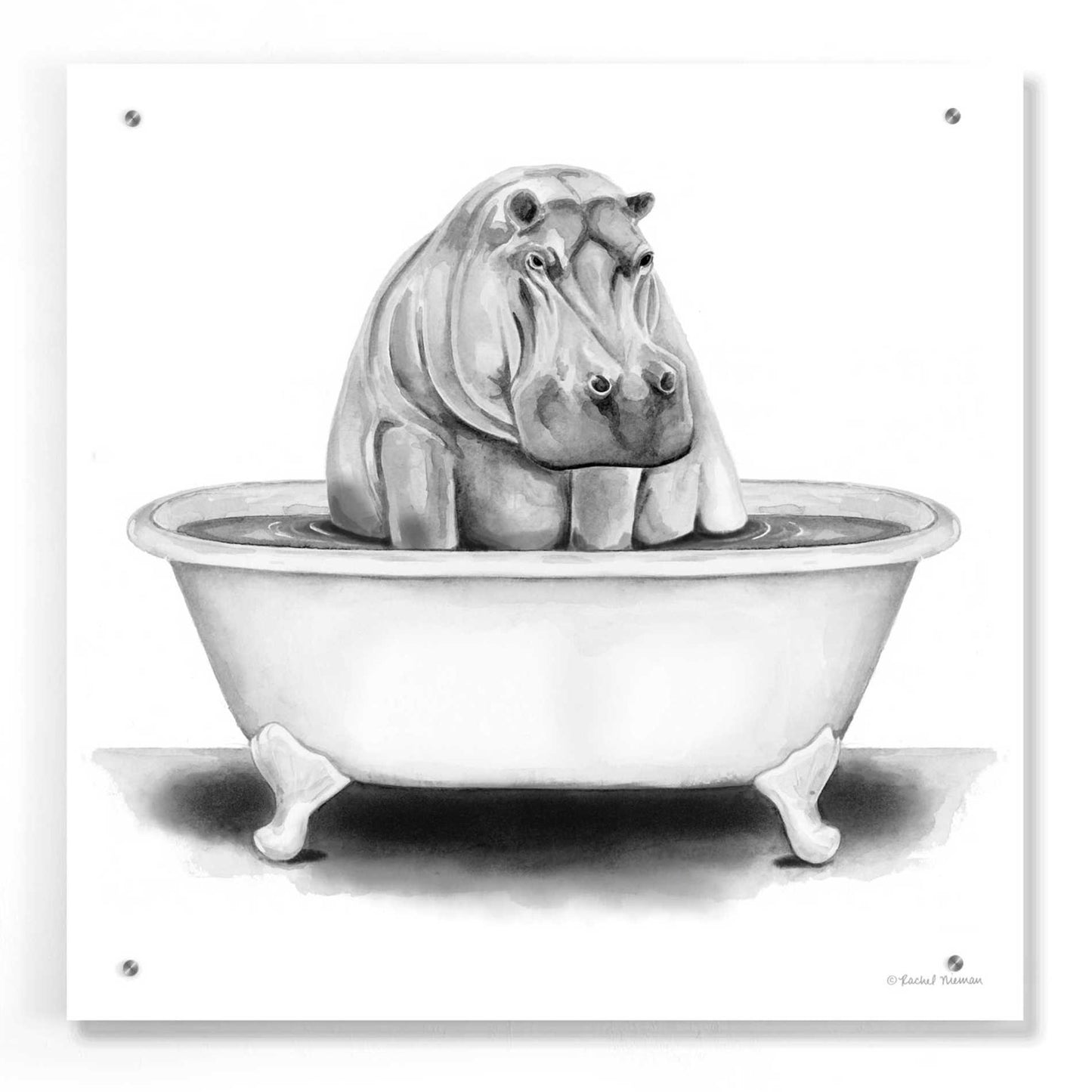 Epic Art 'Hippo in Tub' by Rachel Nieman, Acrylic Glass Wall Art,24x24
