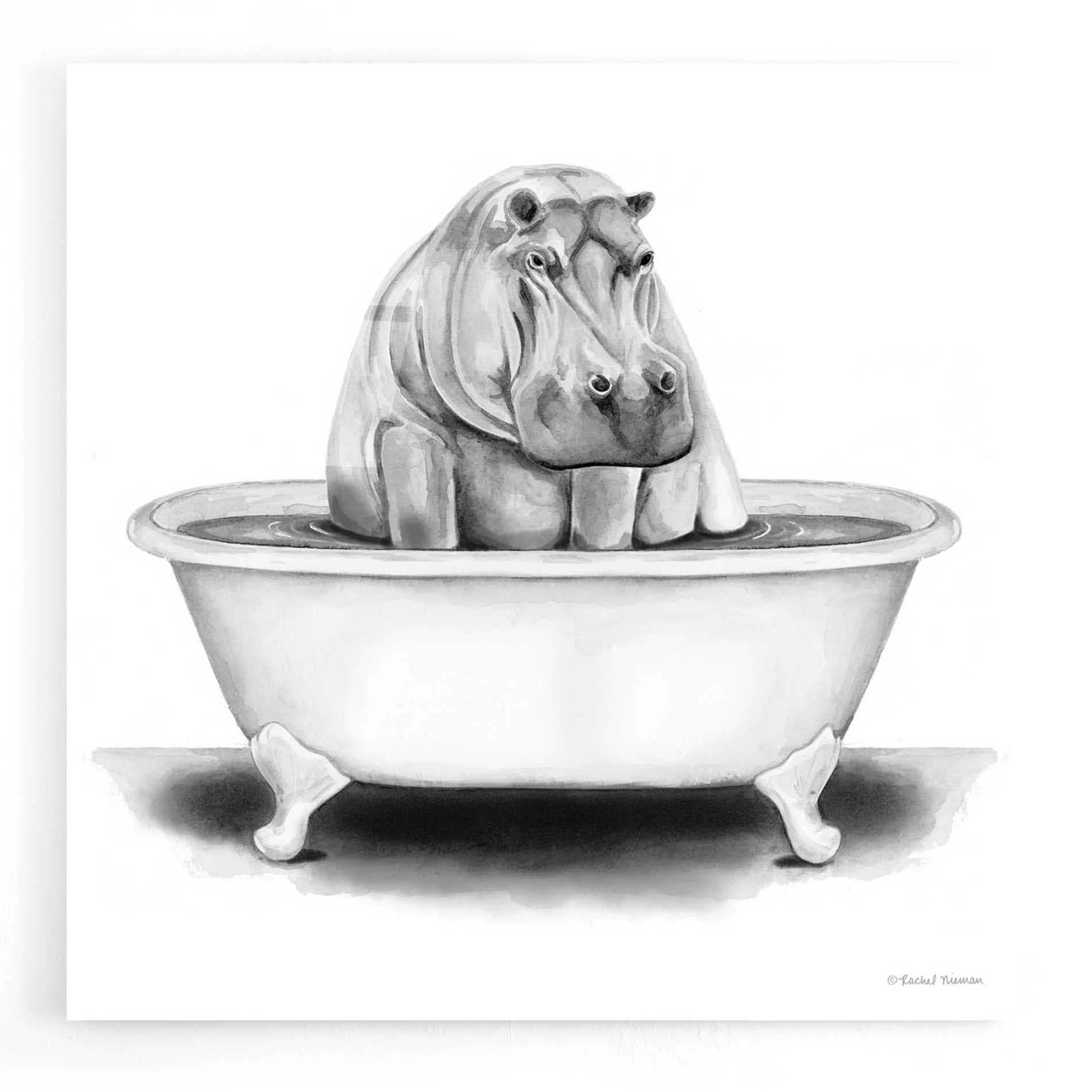 Epic Art 'Hippo in Tub' by Rachel Nieman, Acrylic Glass Wall Art