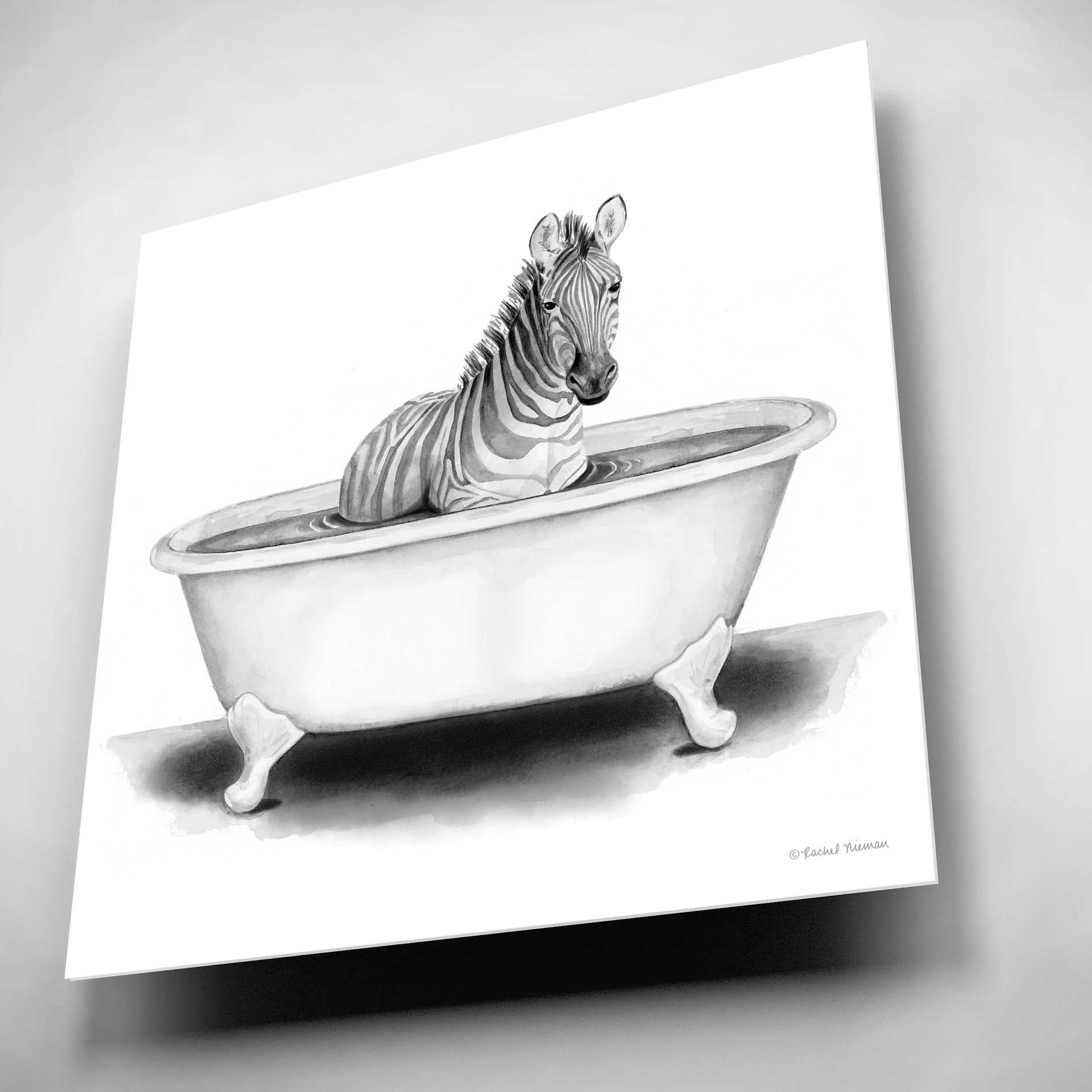 Epic Art 'Zebra in Tub' by Rachel Nieman, Acrylic Glass Wall Art,12x12