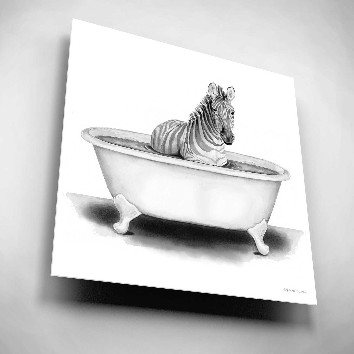 Epic Art 'Zebra in Tub' by Rachel Nieman, Acrylic Glass Wall Art,12x12
