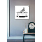 Epic Art 'Zebra in Tub' by Rachel Nieman, Acrylic Glass Wall Art,24x24