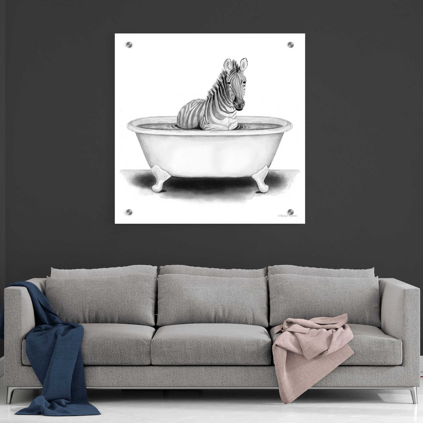 Epic Art 'Zebra in Tub' by Rachel Nieman, Acrylic Glass Wall Art,36x36