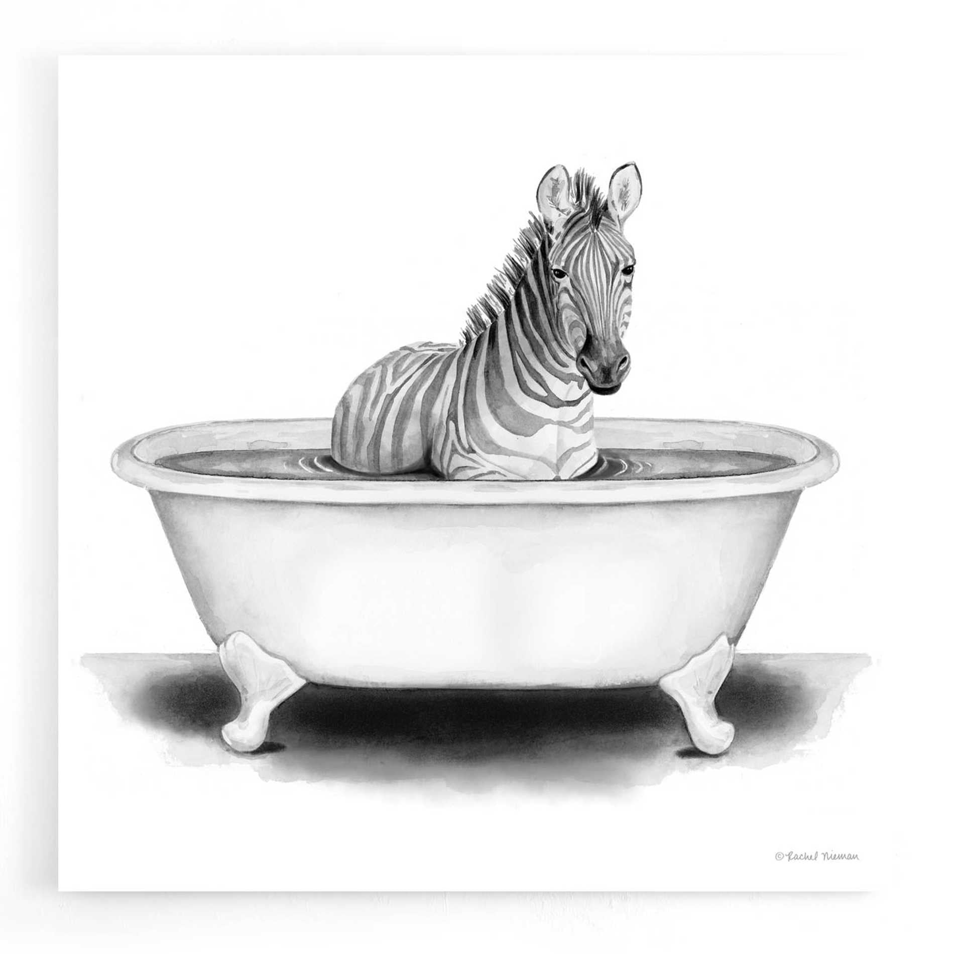 Epic Art 'Zebra in Tub' by Rachel Nieman, Acrylic Glass Wall Art