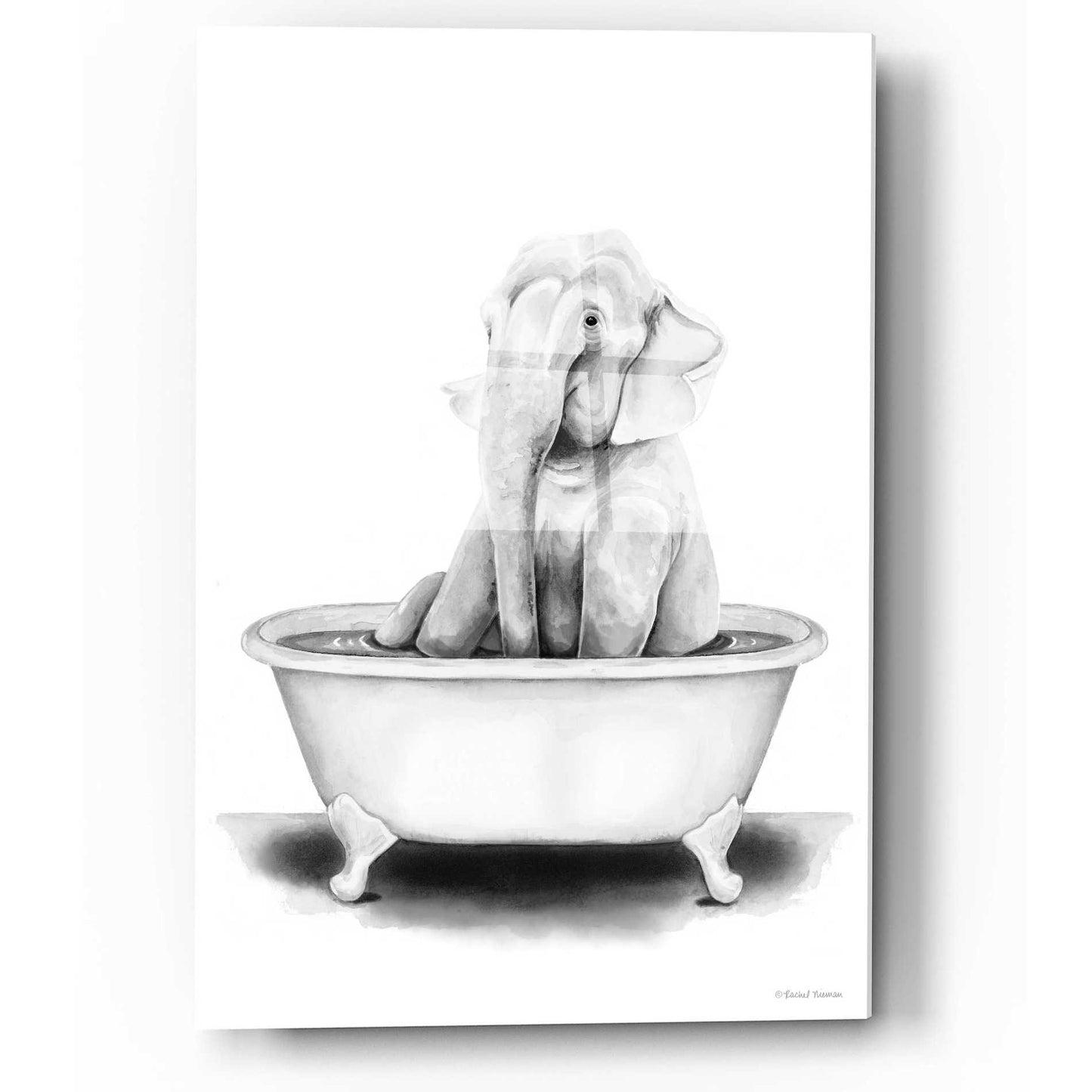Epic Art 'Elephant in Tub' by Rachel Nieman, Acrylic Glass Wall Art,12x16