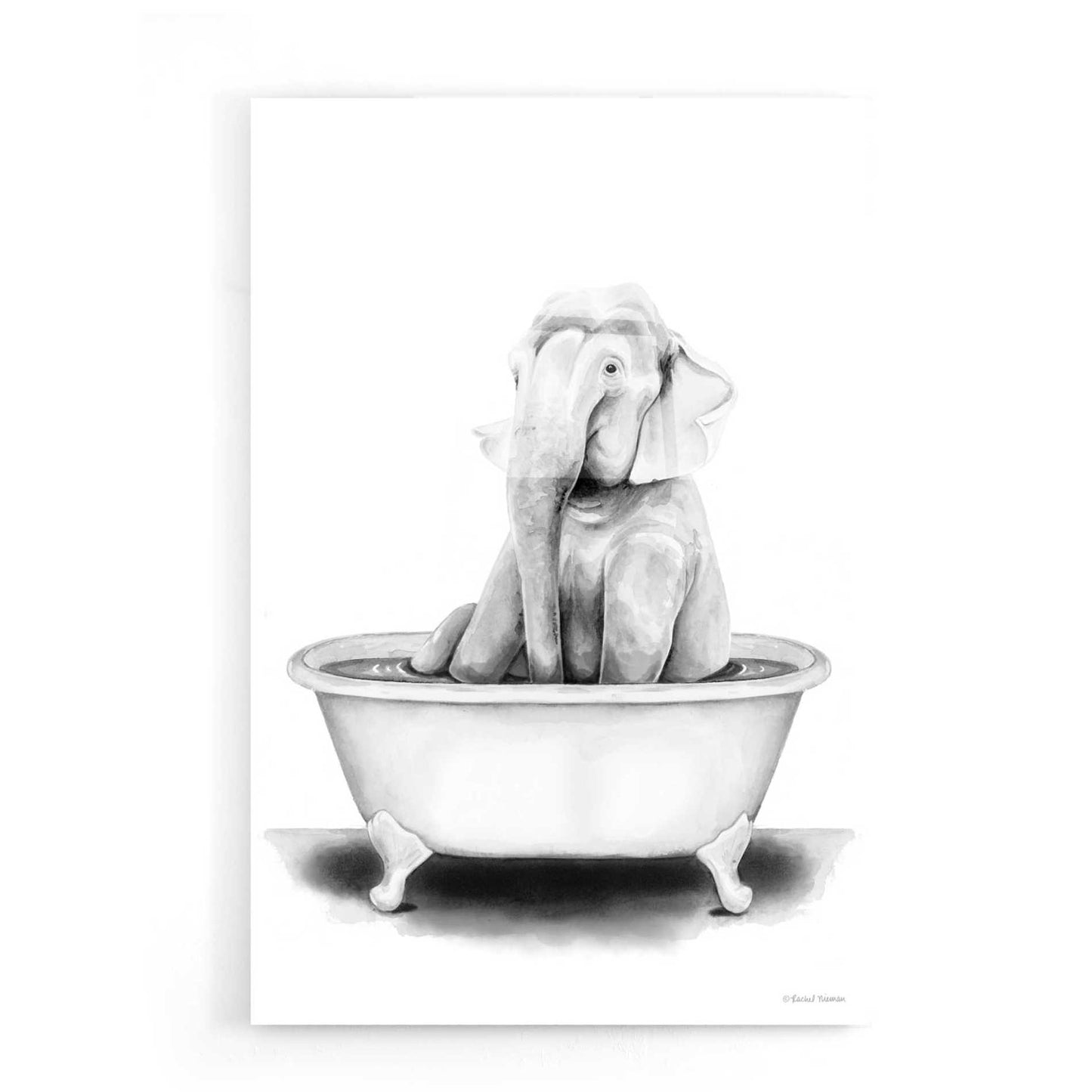 Epic Art 'Elephant in Tub' by Rachel Nieman, Acrylic Glass Wall Art,16x24
