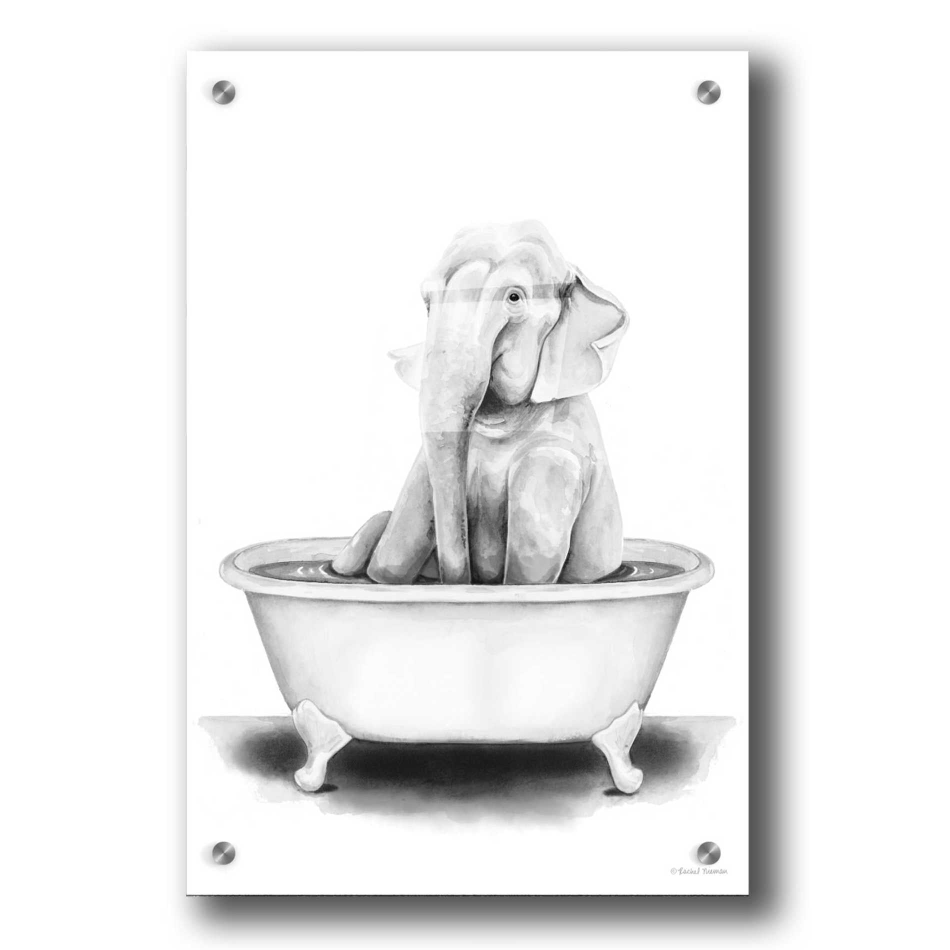 Epic Art 'Elephant in Tub' by Rachel Nieman, Acrylic Glass Wall Art,24x36