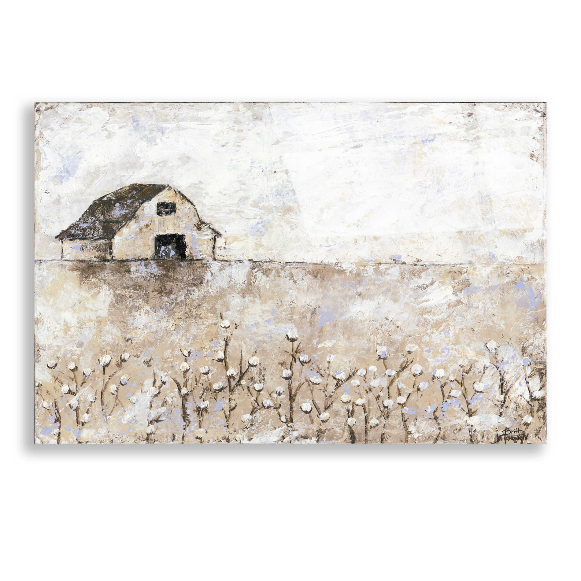 Epic Art 'Cotton Farms' by Britt Hallowell, Acrylic Glass Wall Art,24x16