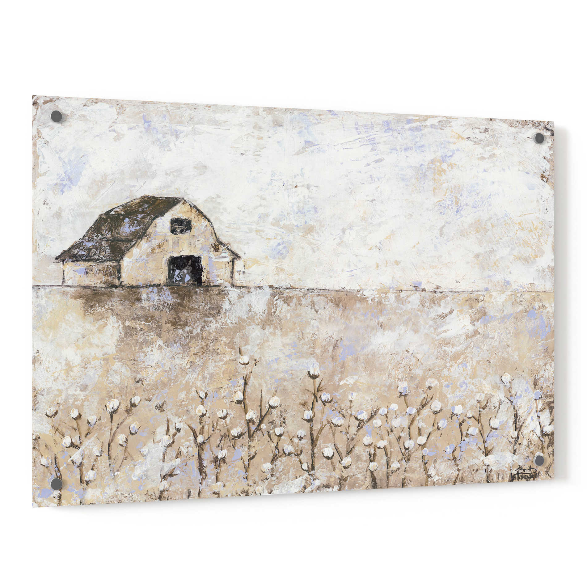 Epic Art 'Cotton Farms' by Britt Hallowell, Acrylic Glass Wall Art,36x24