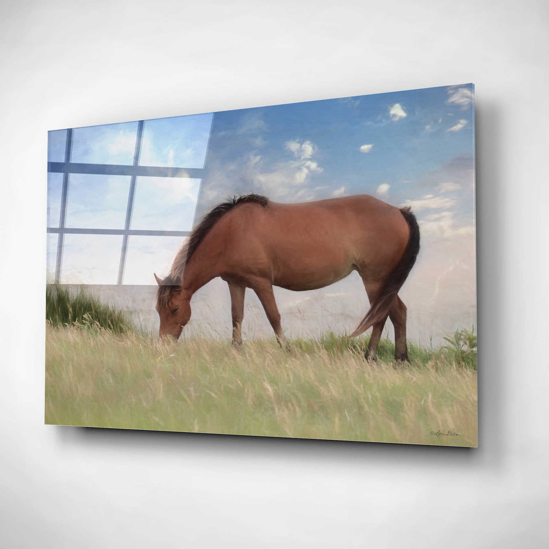 Epic Art 'Assataegue Horse' by Lori Deiter, Acrylic Glass Wall Art,16x12