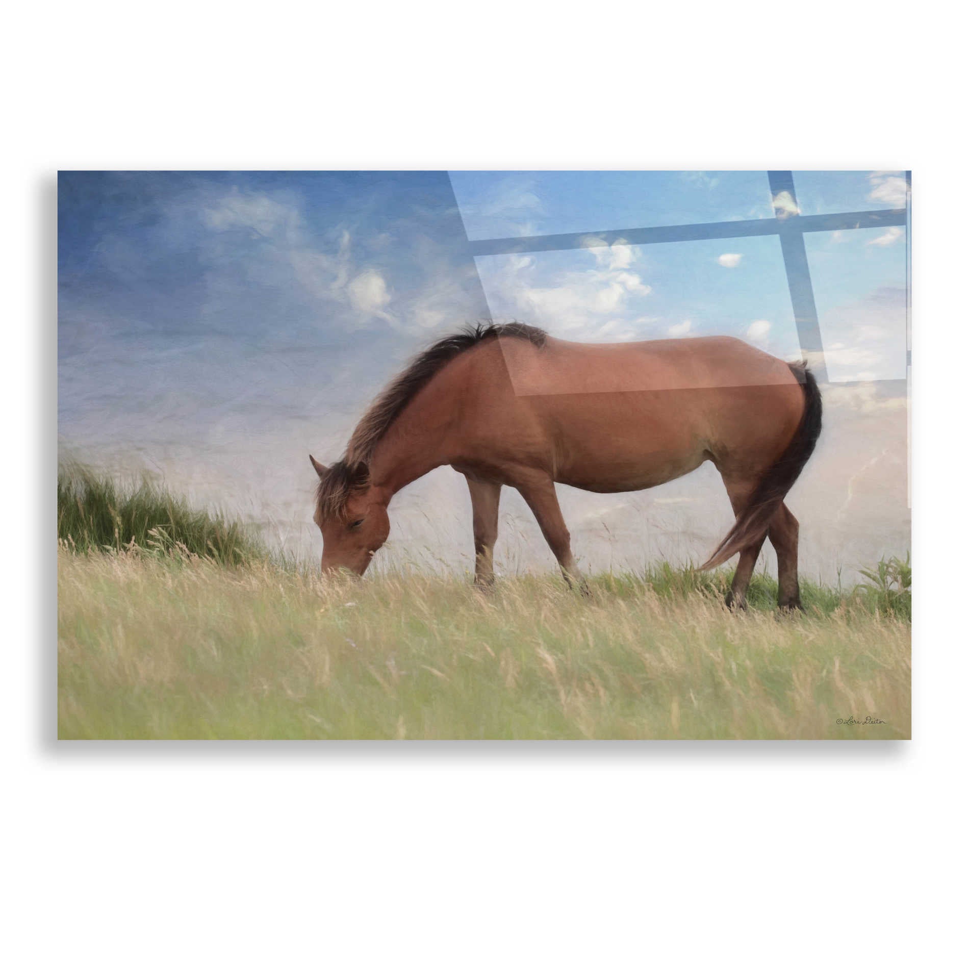 Epic Art 'Assataegue Horse' by Lori Deiter, Acrylic Glass Wall Art,24x16