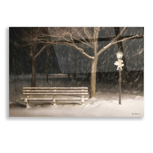 Epic Art 'Snowy Bench' by Lori Deiter, Acrylic Glass Wall Art