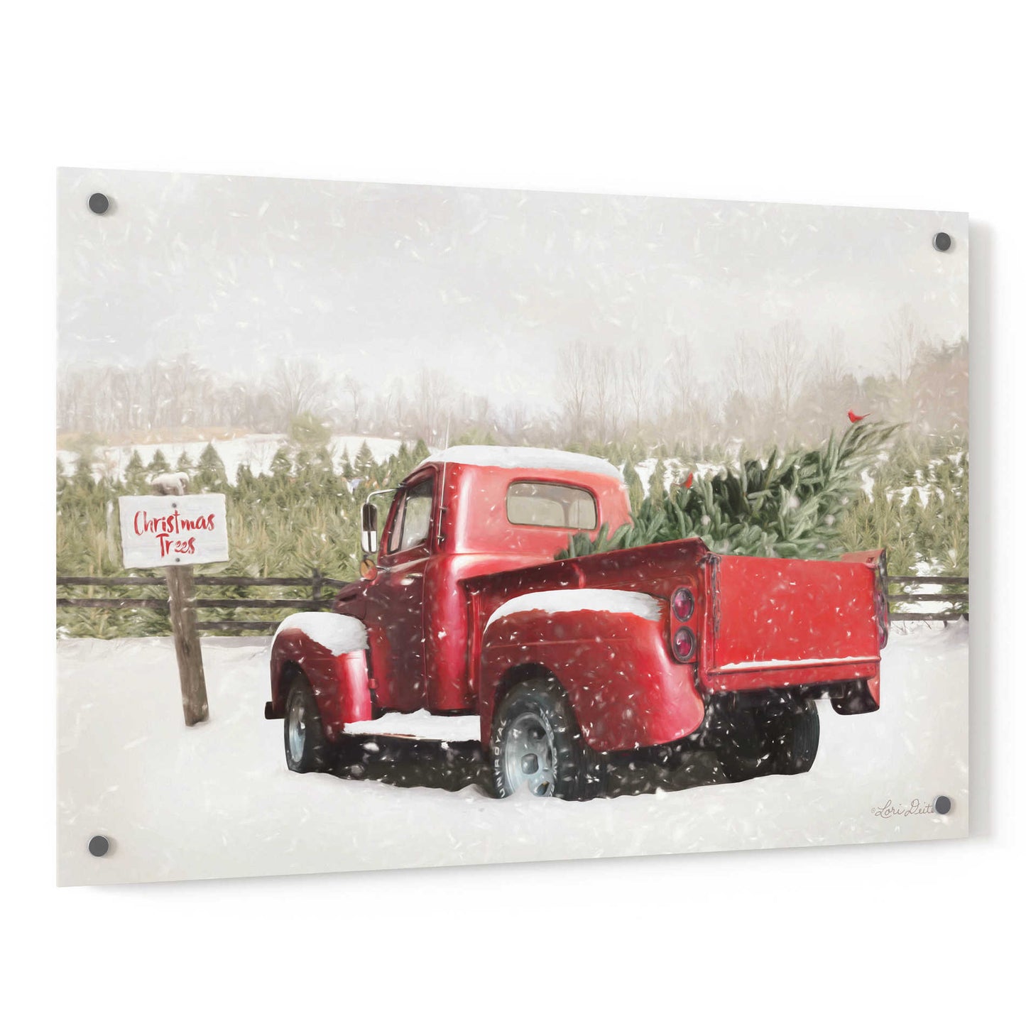 Epic Art 'Christmas Tree Pick' by Lori Deiter, Acrylic Glass Wall Art,36x24