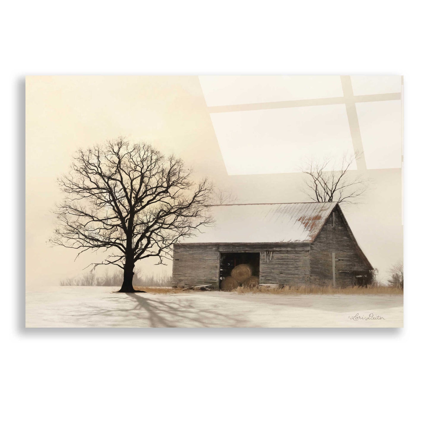 Epic Art 'Winter Shadows' by Lori Deiter, Acrylic Glass Wall Art,24x16
